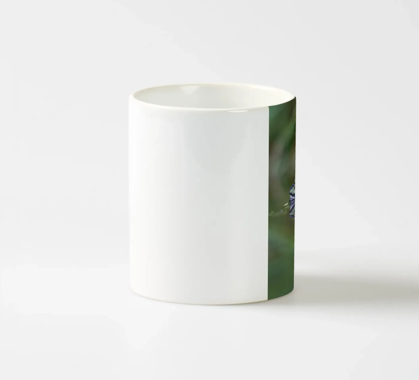Frog reflection ceramic mug by Tom's Wildlife