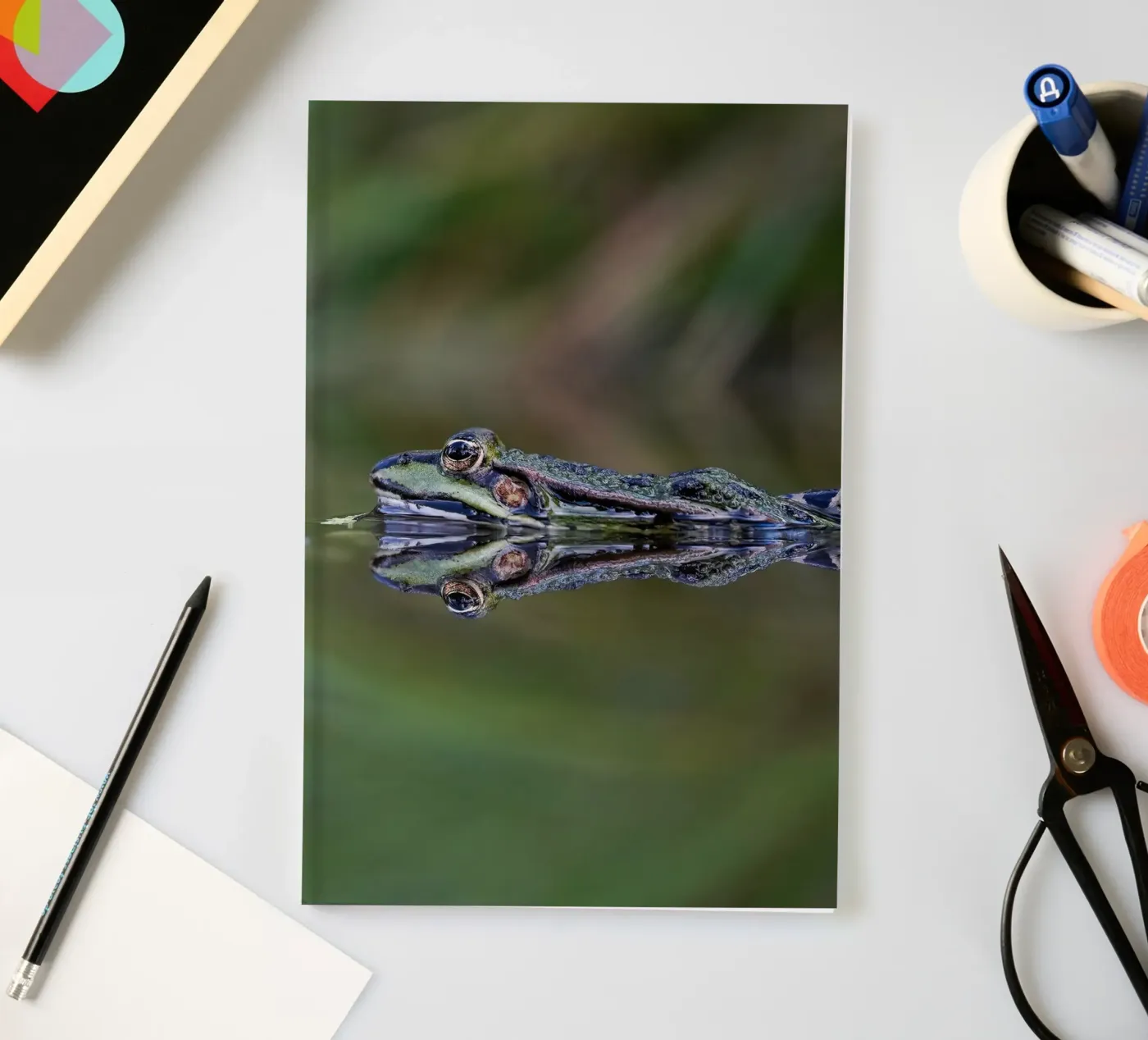 Frog reflection notebook by Tom's Wildlife