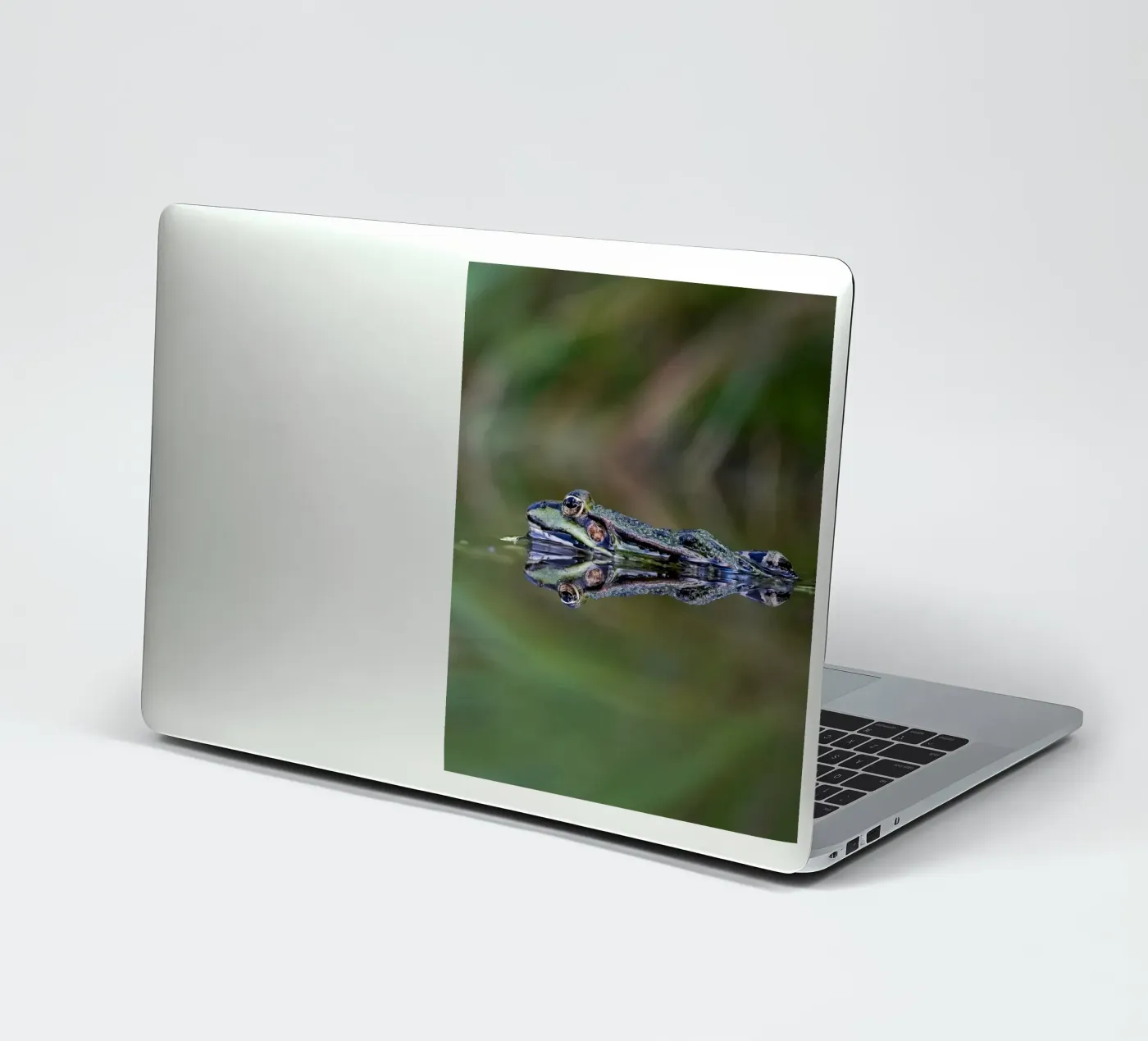 Frog reflection sticker van Tom's Wildlife