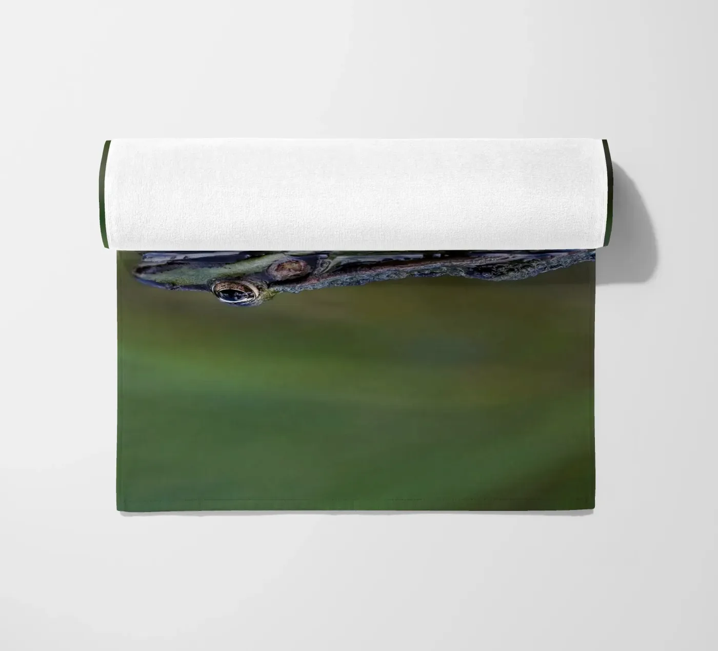 Riflesso di rana telo mare da Tom's Wildlife