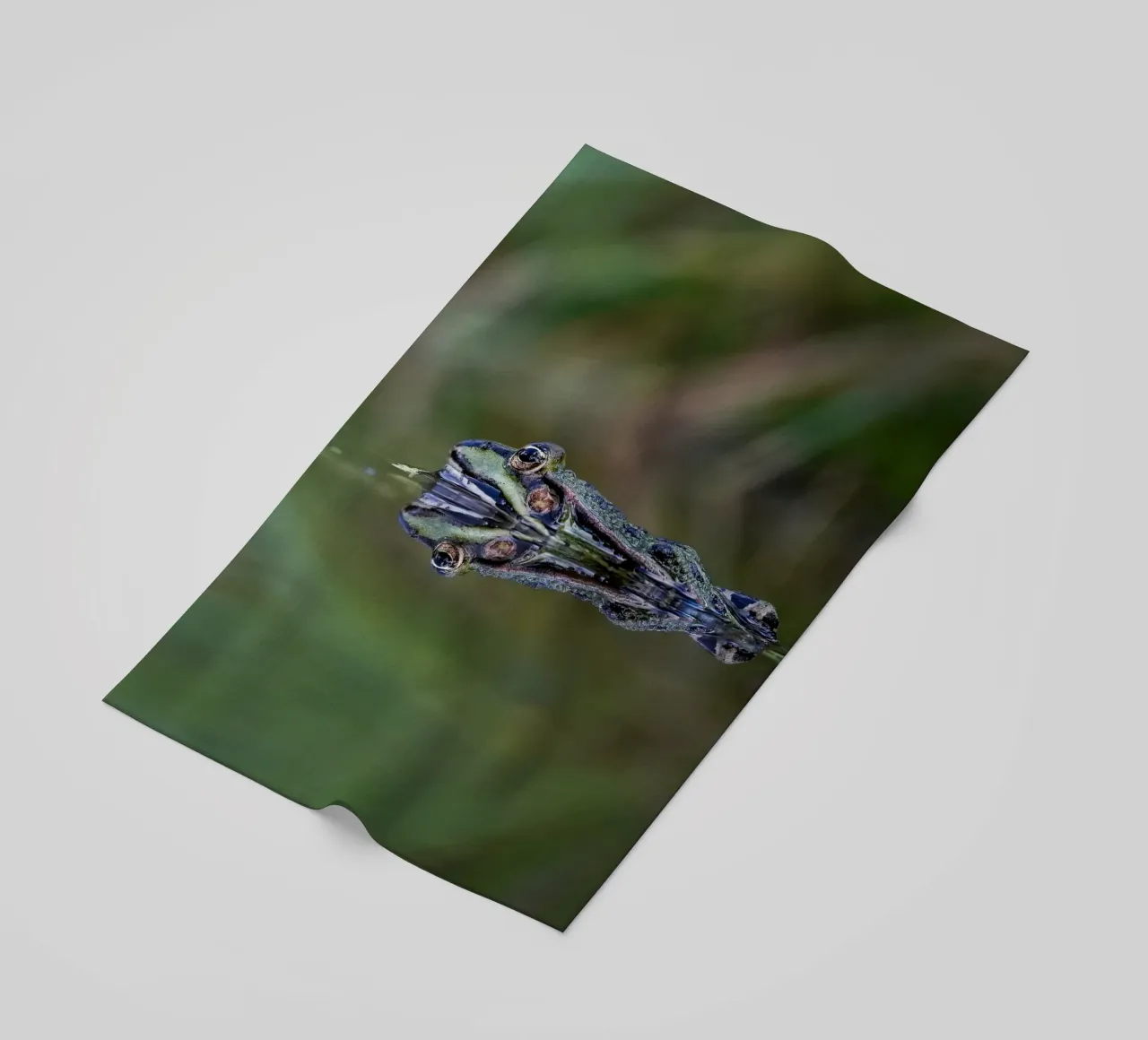 Frosch-Reflexion Strandtuch von Tom's Wildlife