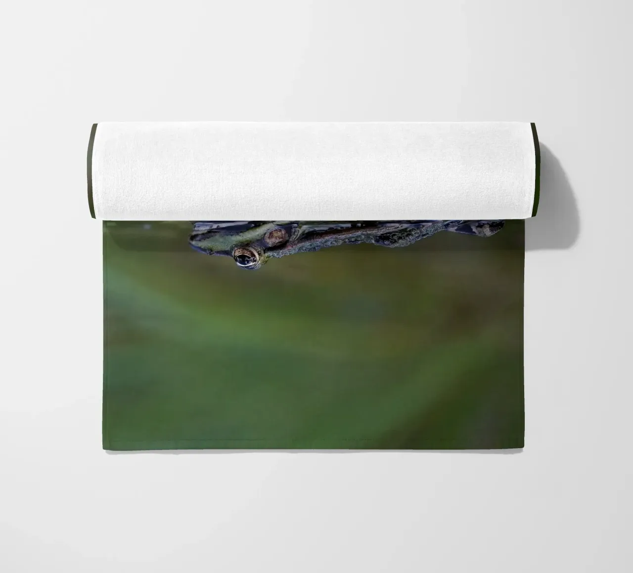 Frog reflection telo mare da Tom's Wildlife