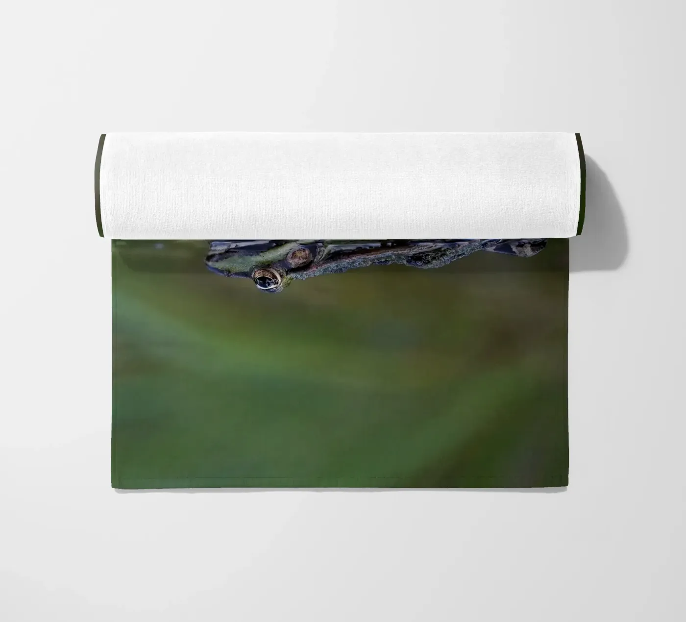 Riflesso di rana telo mare da Tom's Wildlife