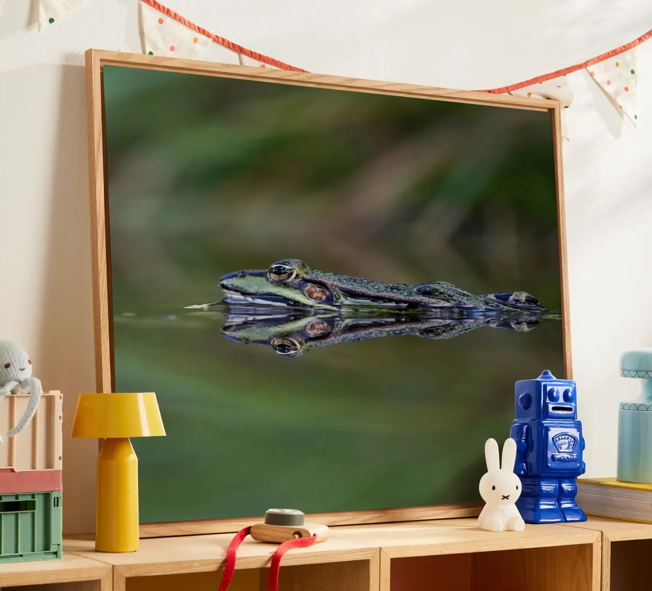 Riflesso di rana plexiglass da Tom's Wildlife