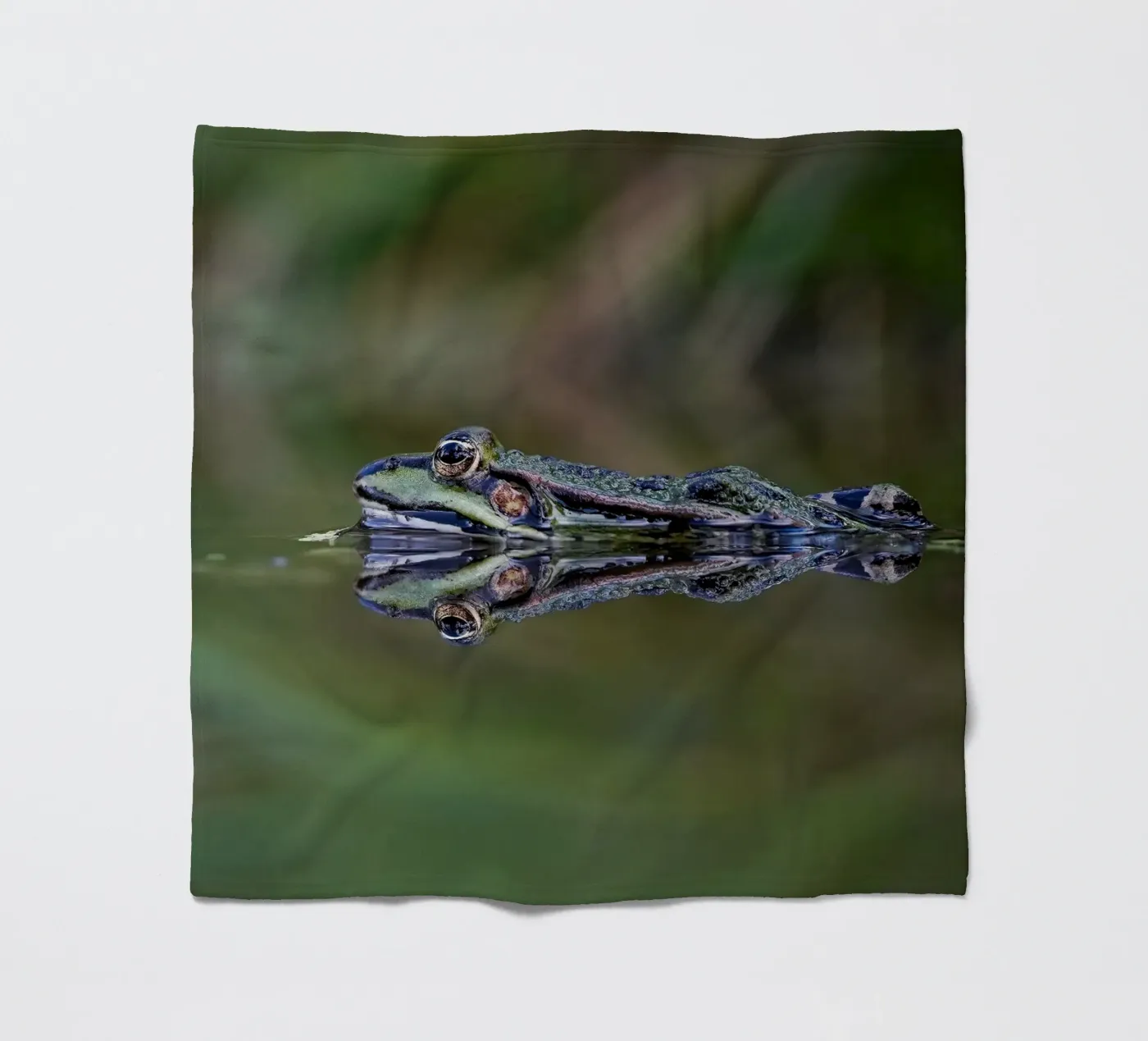 Frog reflection fleece blanket by Tom's Wildlife