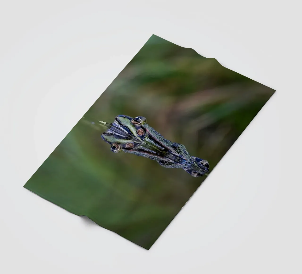 Frog reflection fleecedeken van Tom's Wildlife