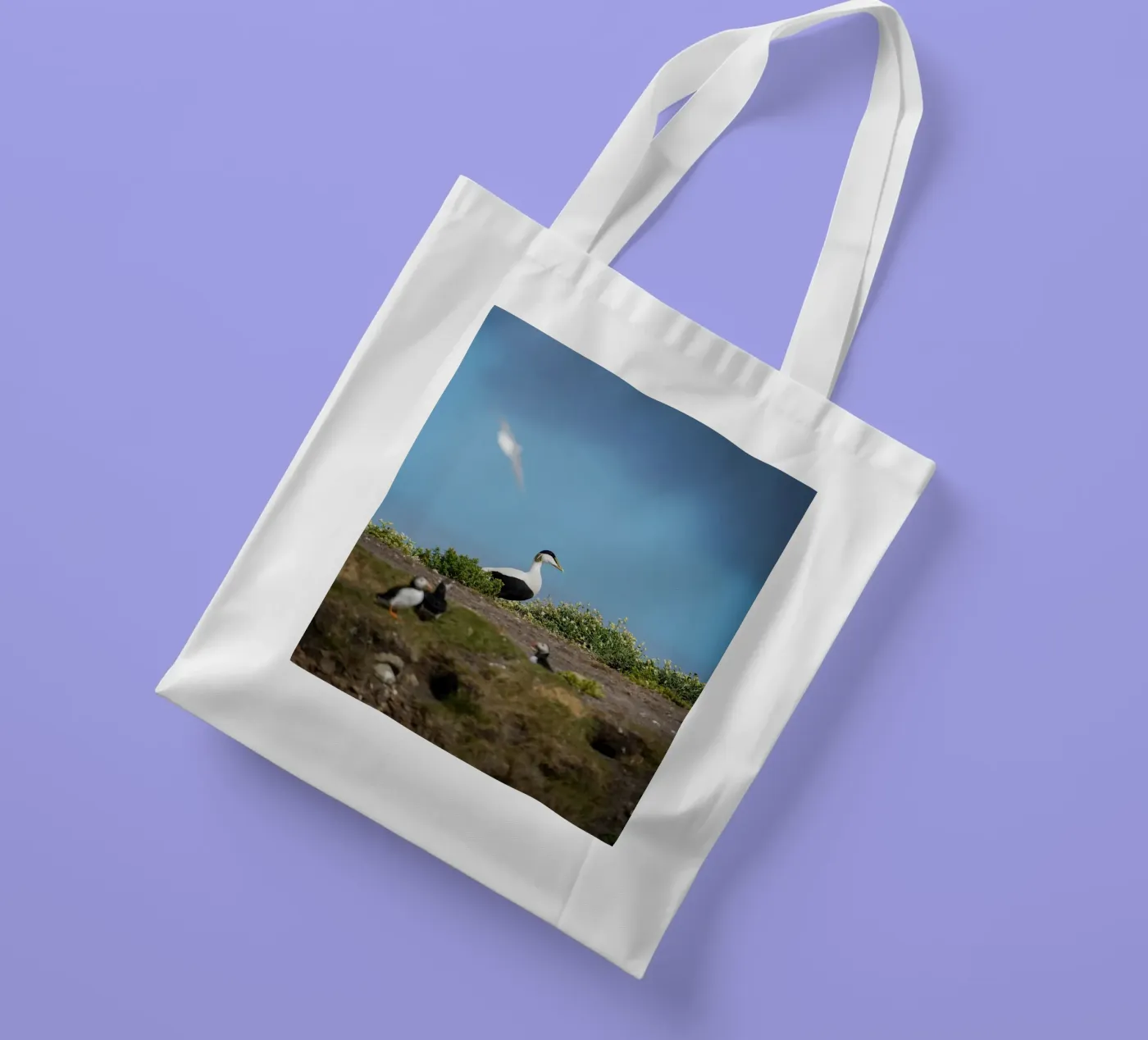 Common Eider tote bag by Tom's Wildlife