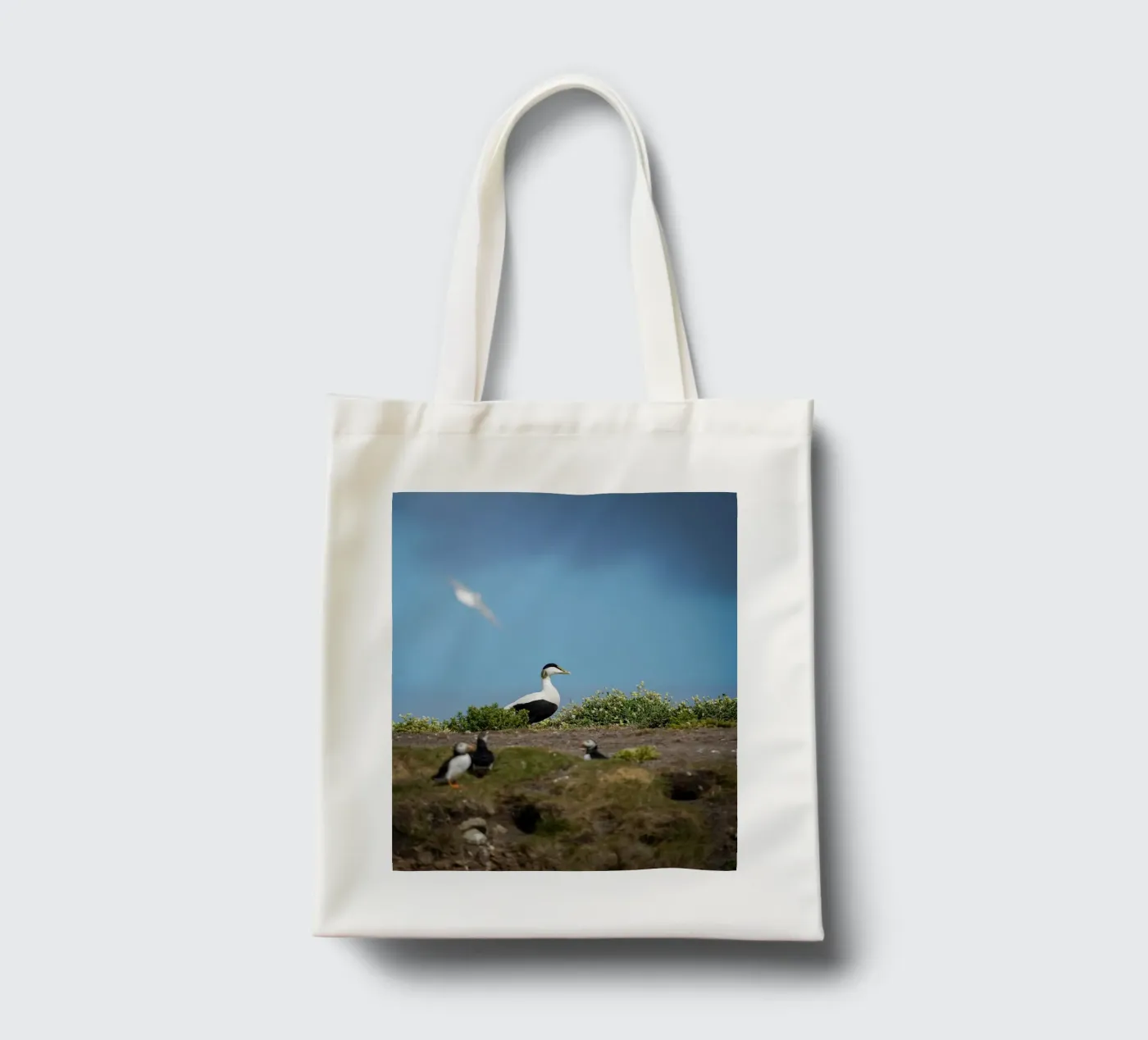 Common Eider tote bag by Tom's Wildlife