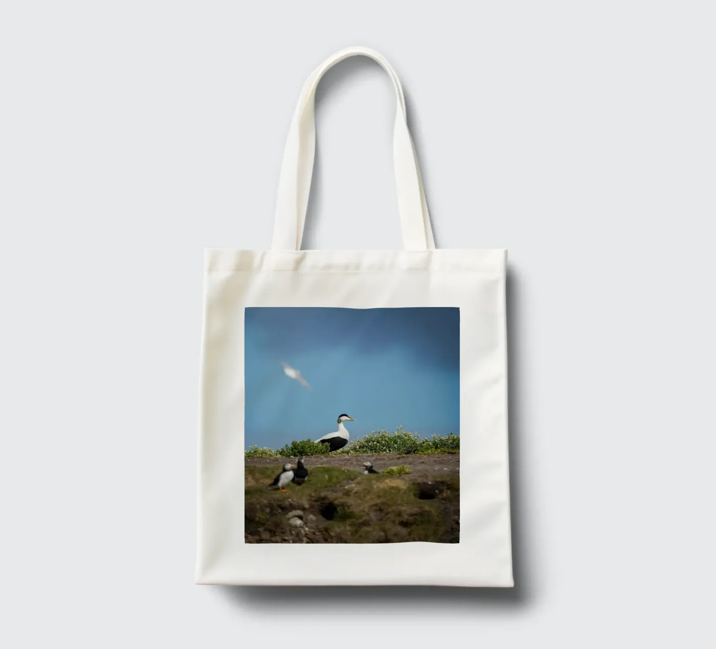 Common Eider tote bag by Tom's Wildlife
