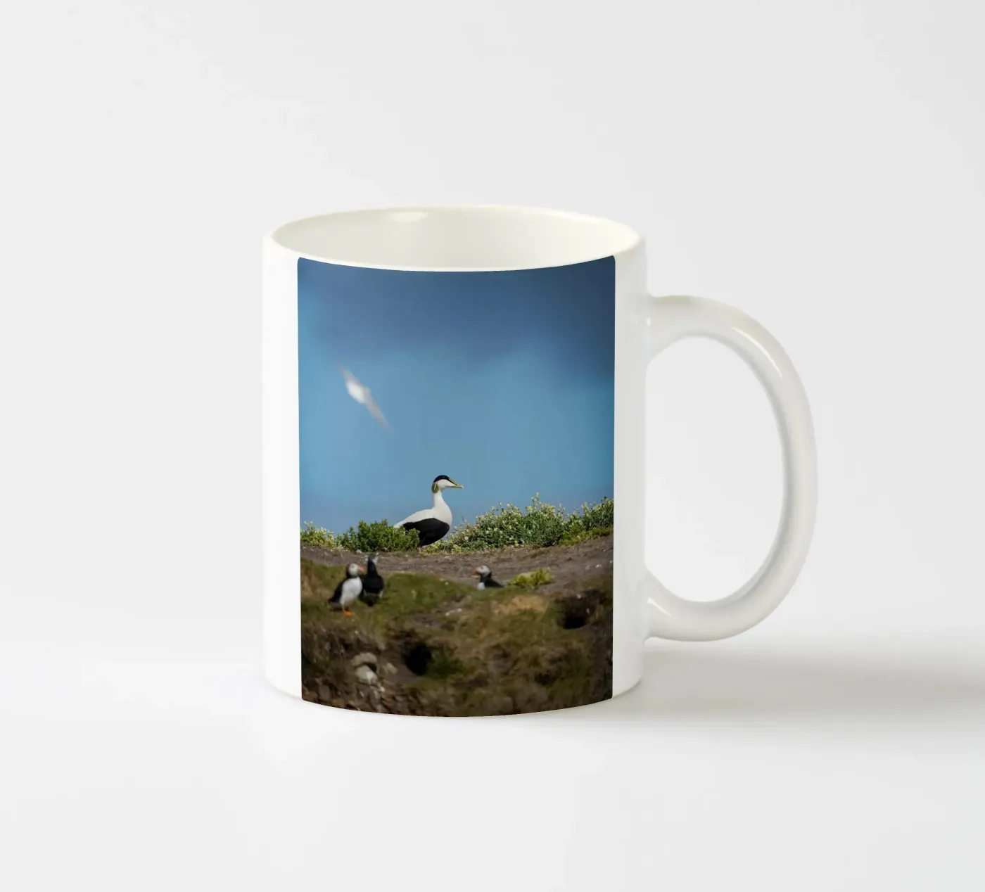 Common Eider Keramik Tasse von Tom's Wildlife