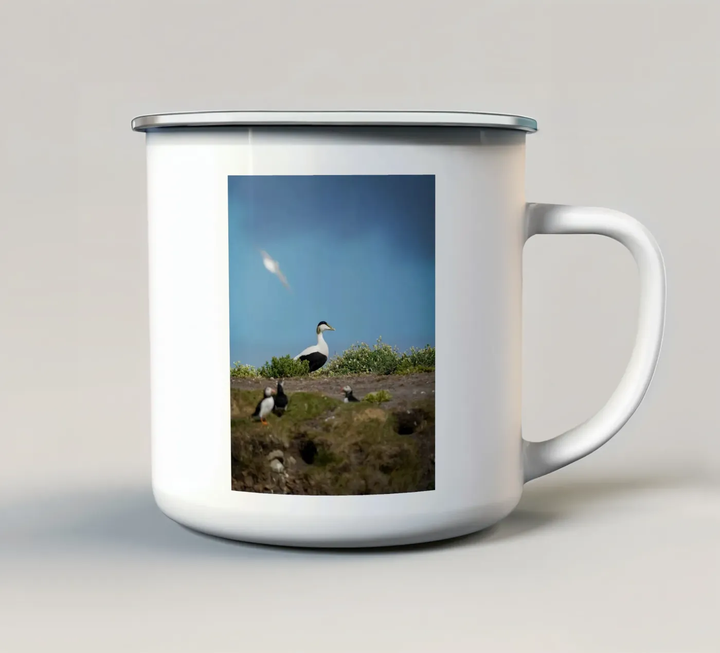 Common Eider enamel mug by Tom's Wildlife