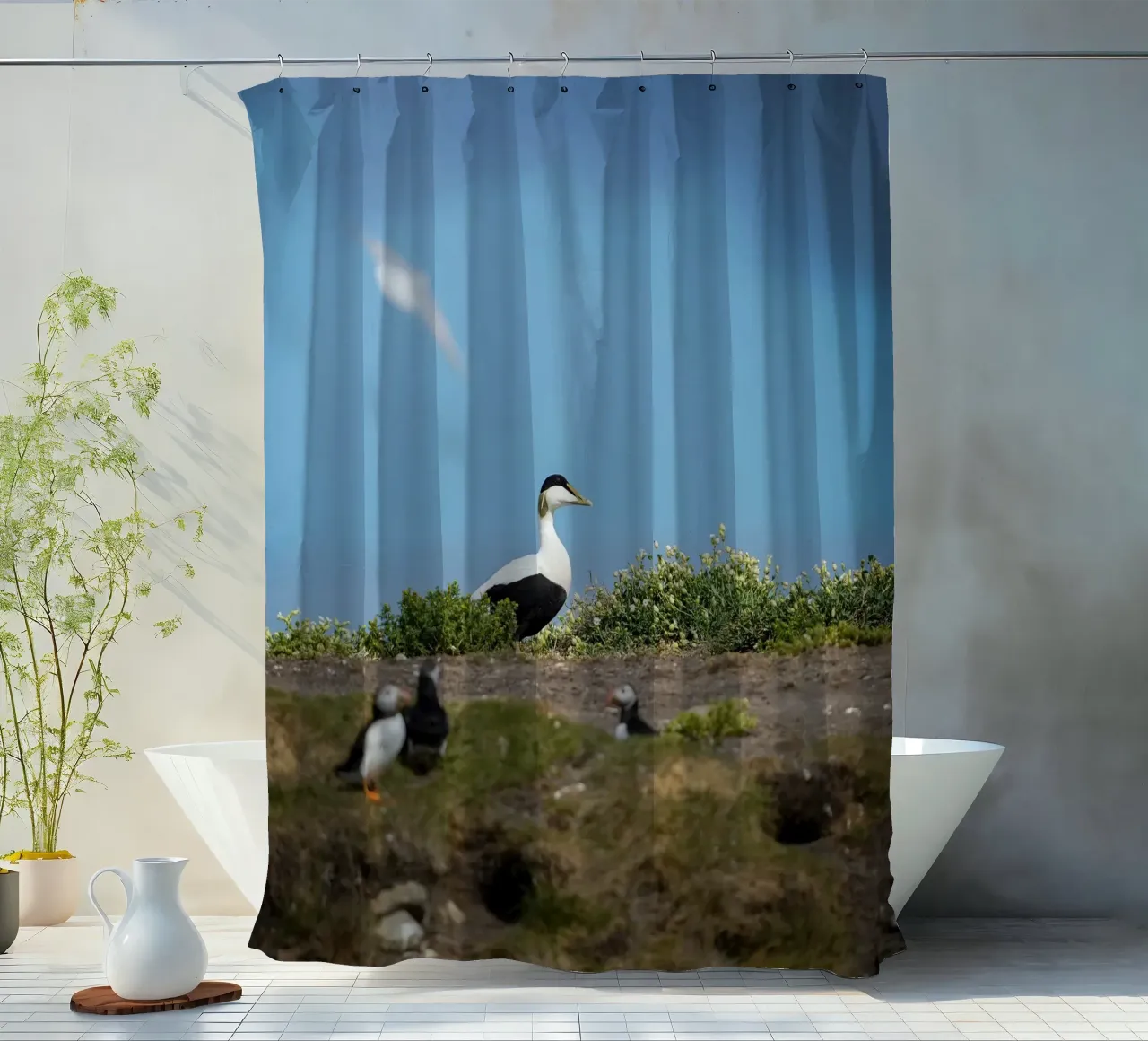 Common Eider Duschvorhang von Tom's Wildlife