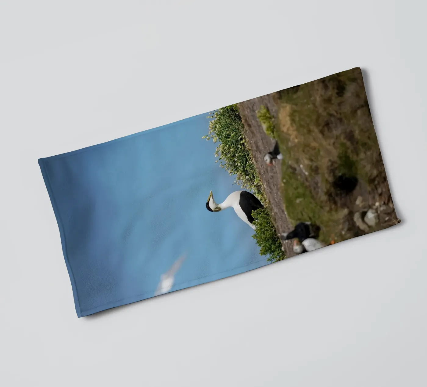 Eider badhanddoek van Tom's Wildlife