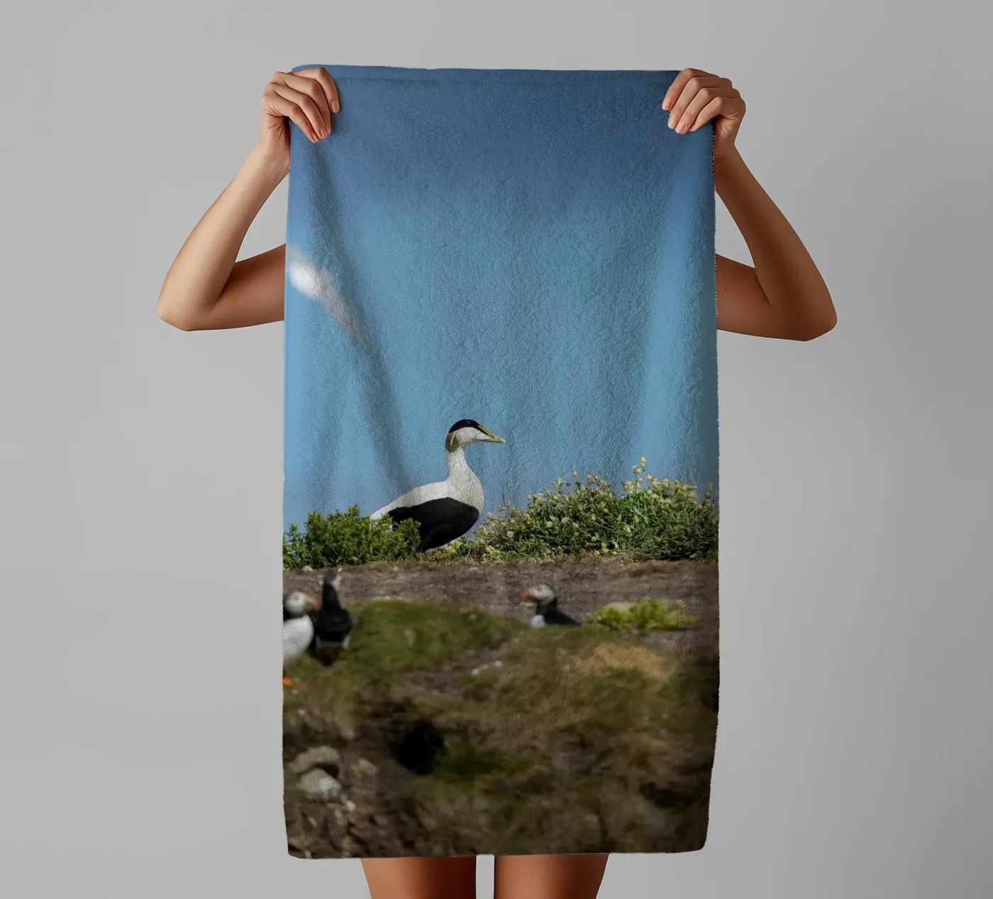 Eider badhanddoek van Tom's Wildlife
