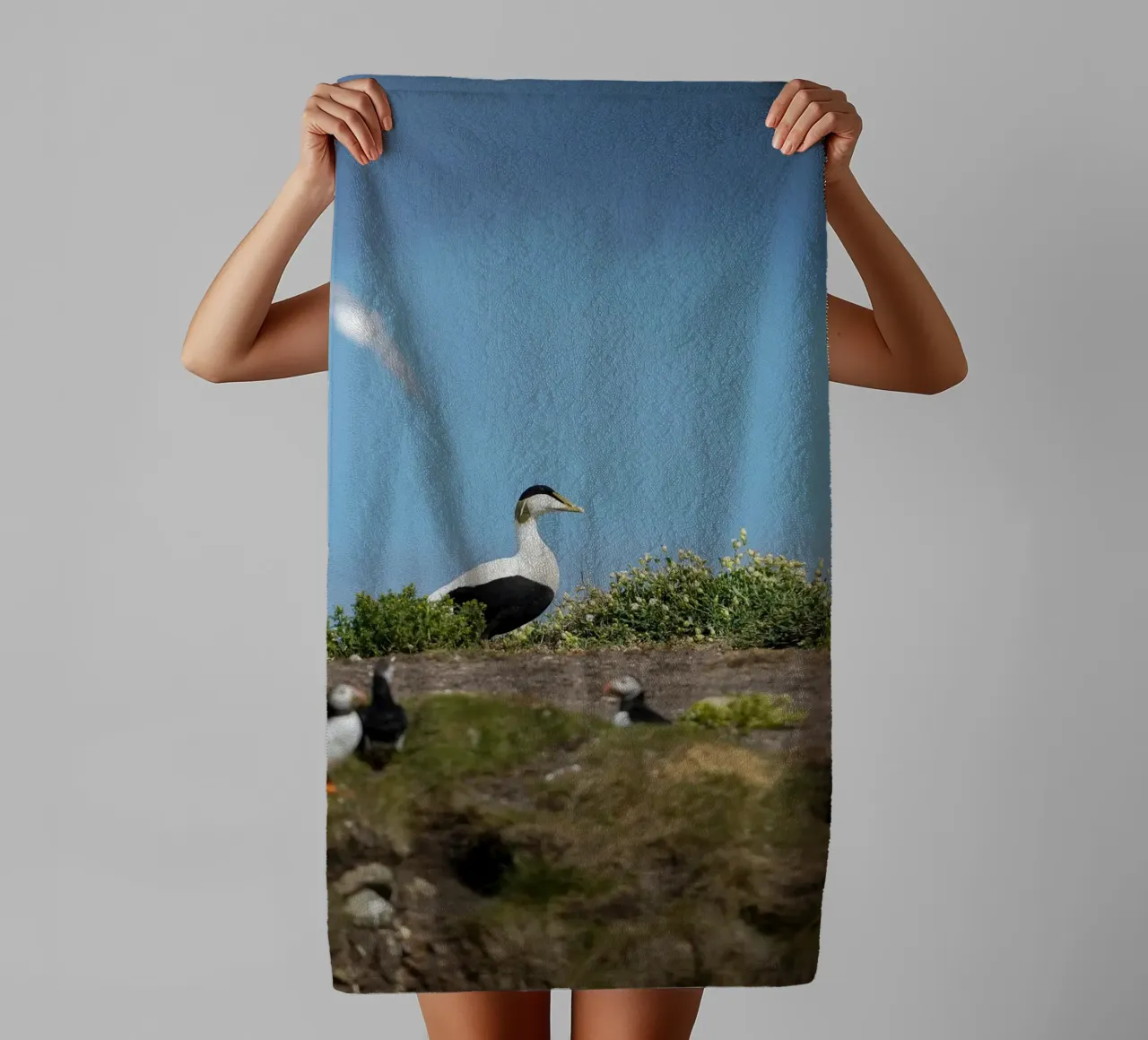 Common Eider towel by Tom's Wildlife