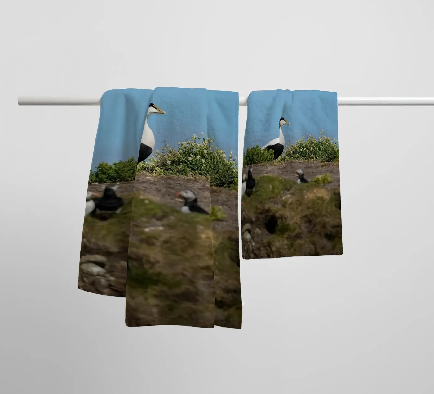 Common Eider towel by Tom's Wildlife