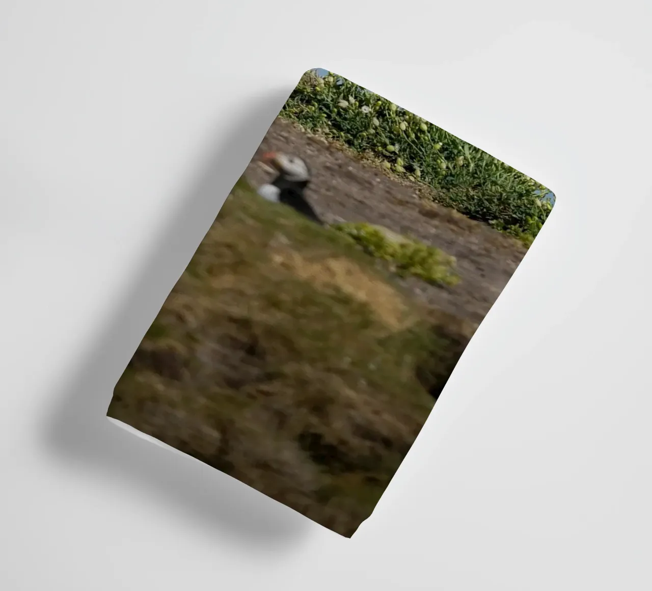 Common Eider towel by Tom's Wildlife