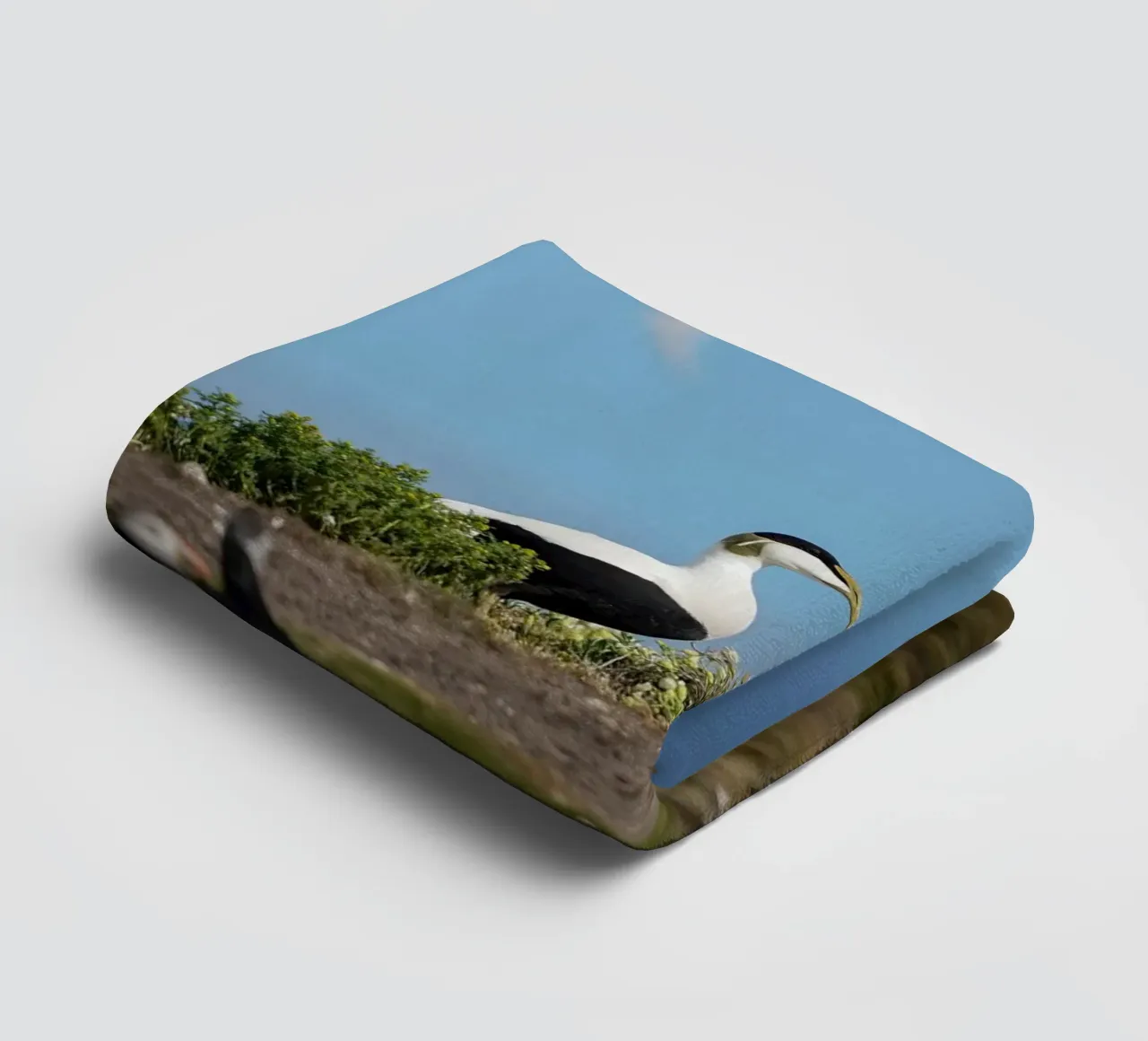 Common Eider towel by Tom's Wildlife