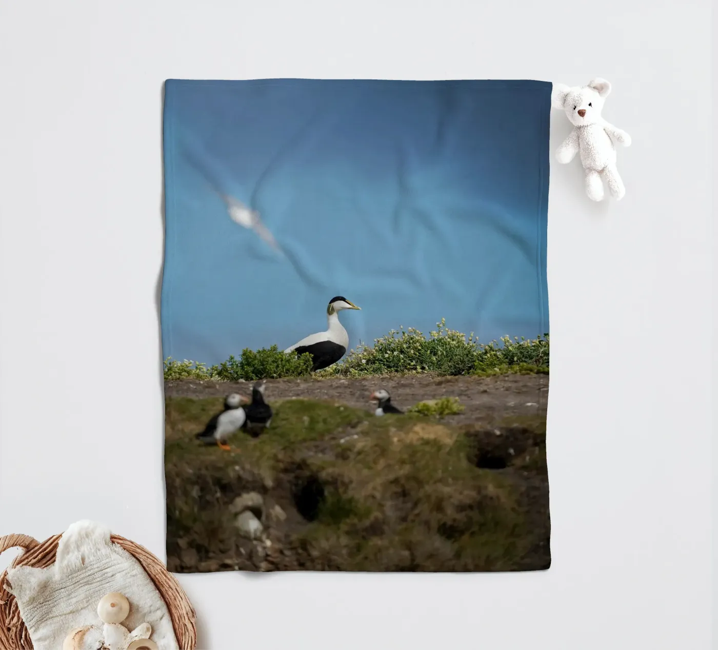 Common Eider Fleecedecke von Tom's Wildlife