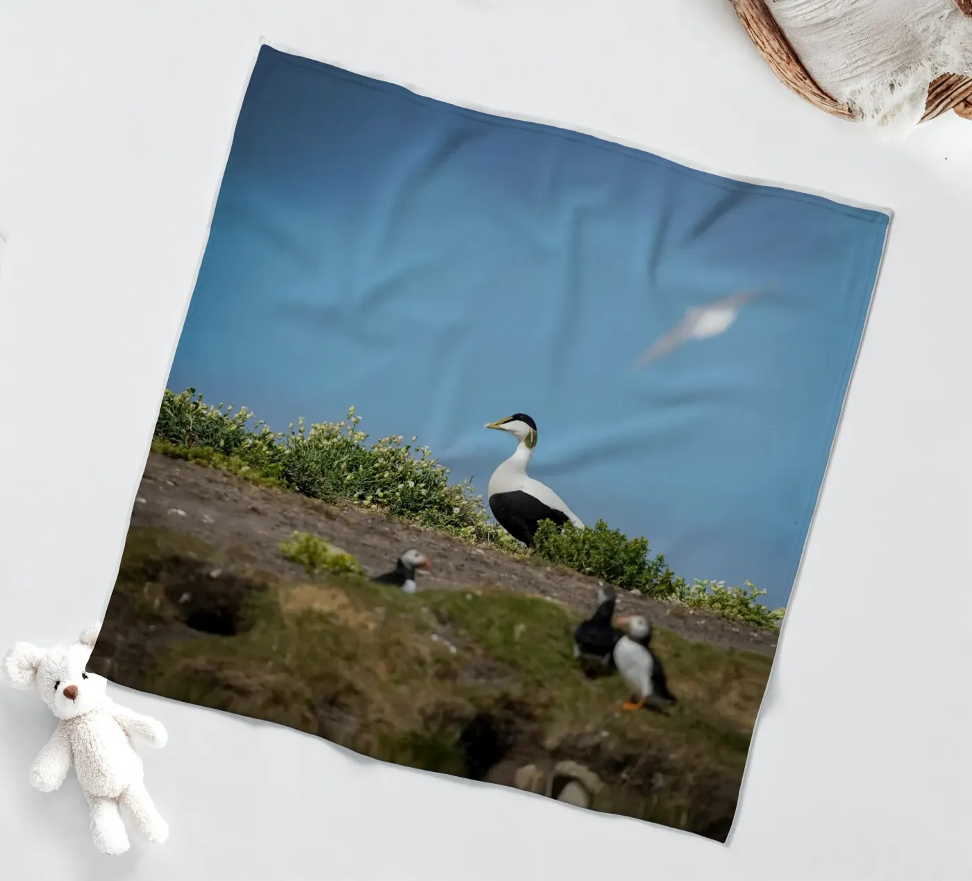 Common Eider Fleecedecke von Tom's Wildlife