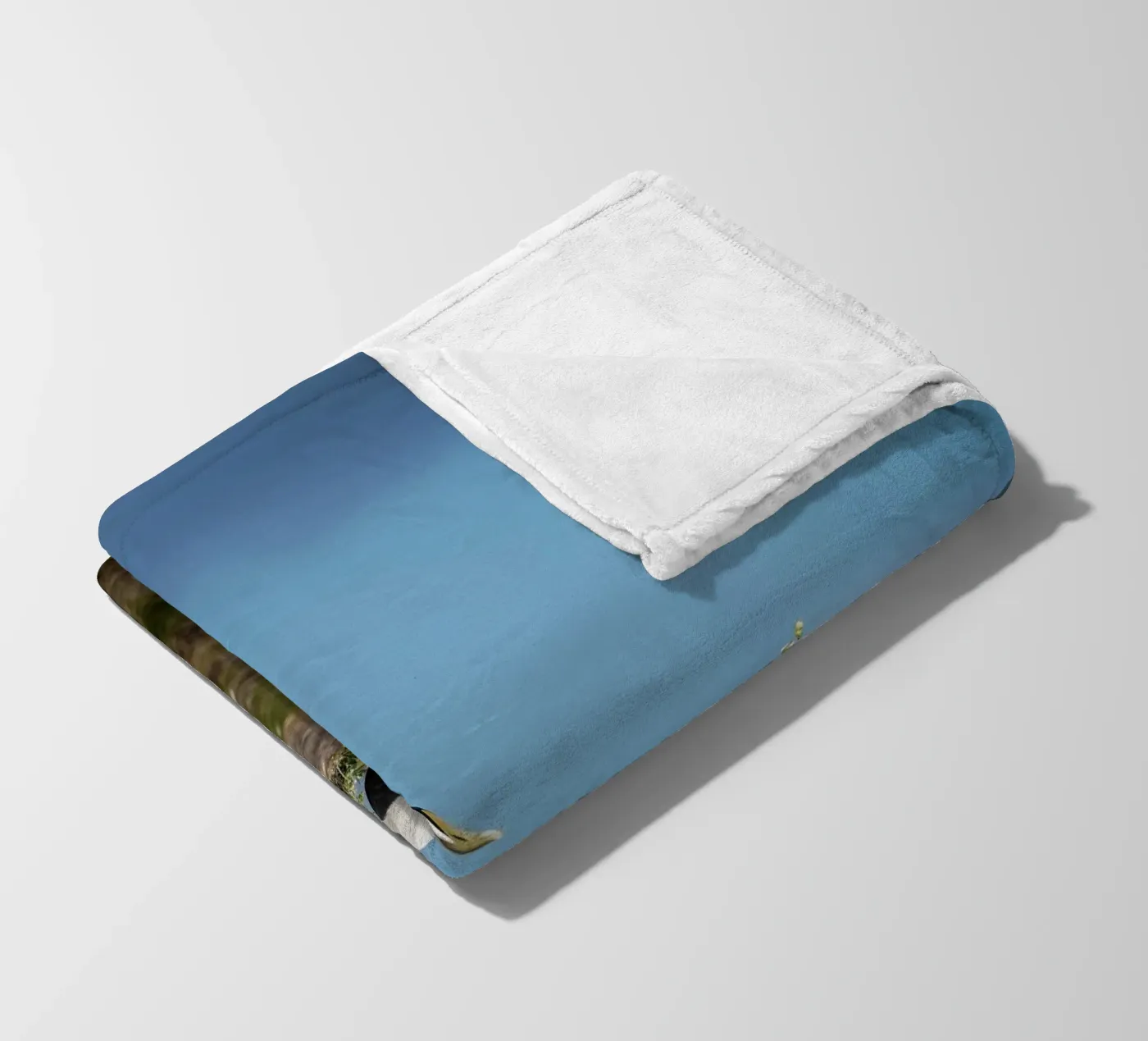 Common Eider coperta in pile da Tom's Wildlife