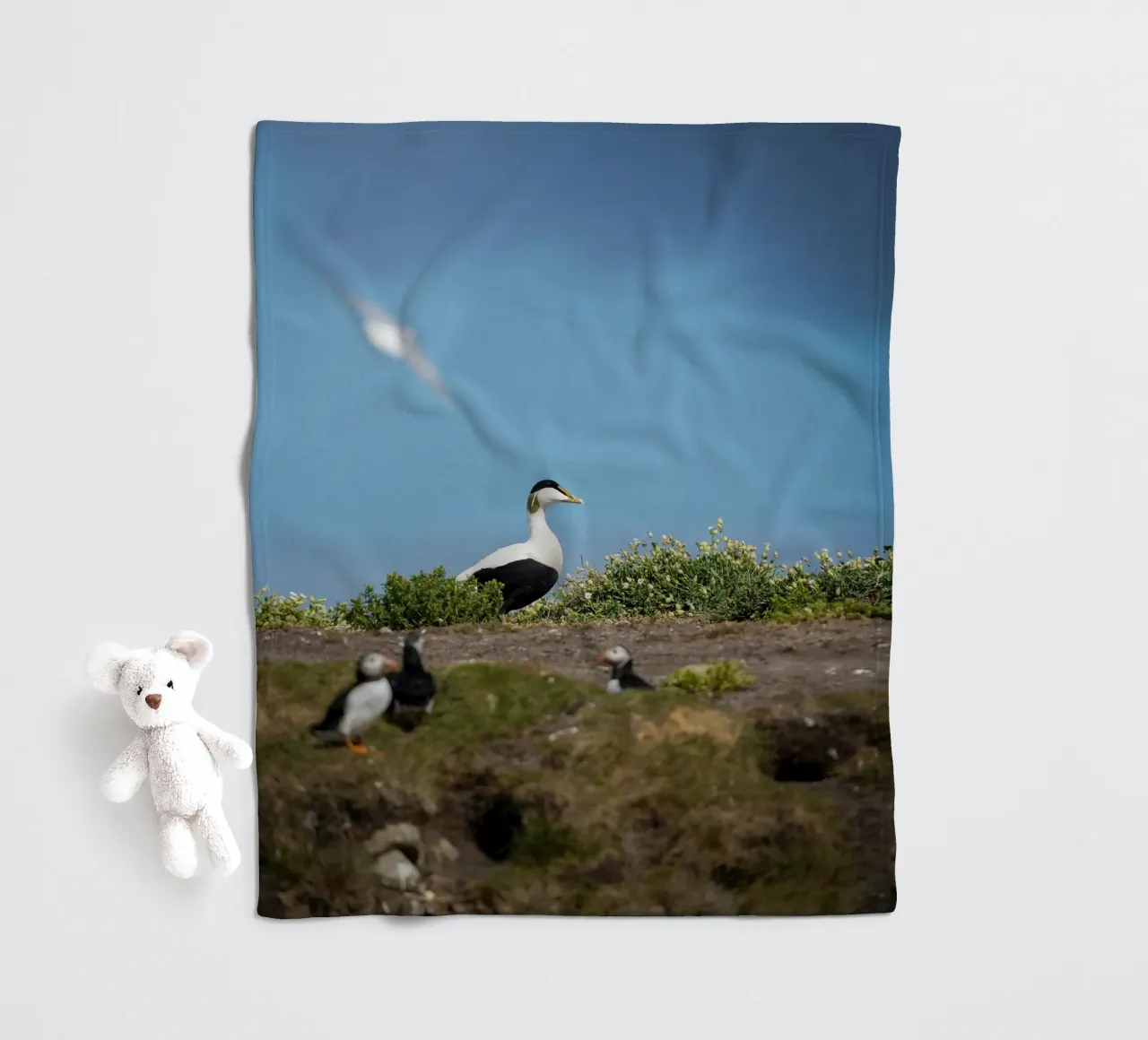 Common Eider Fleecedecke von Tom's Wildlife