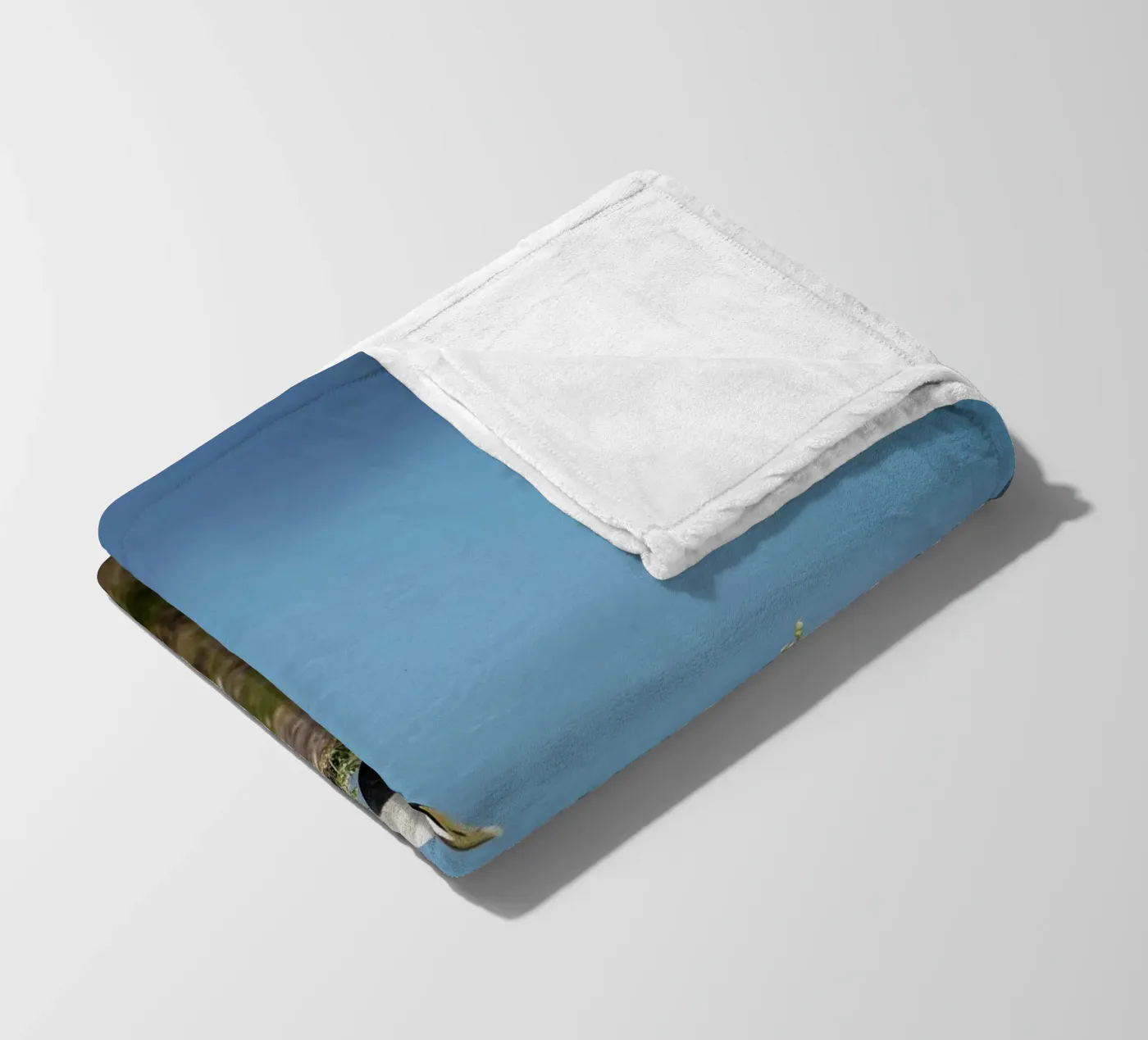 Common Eider Fleecedecke von Tom's Wildlife