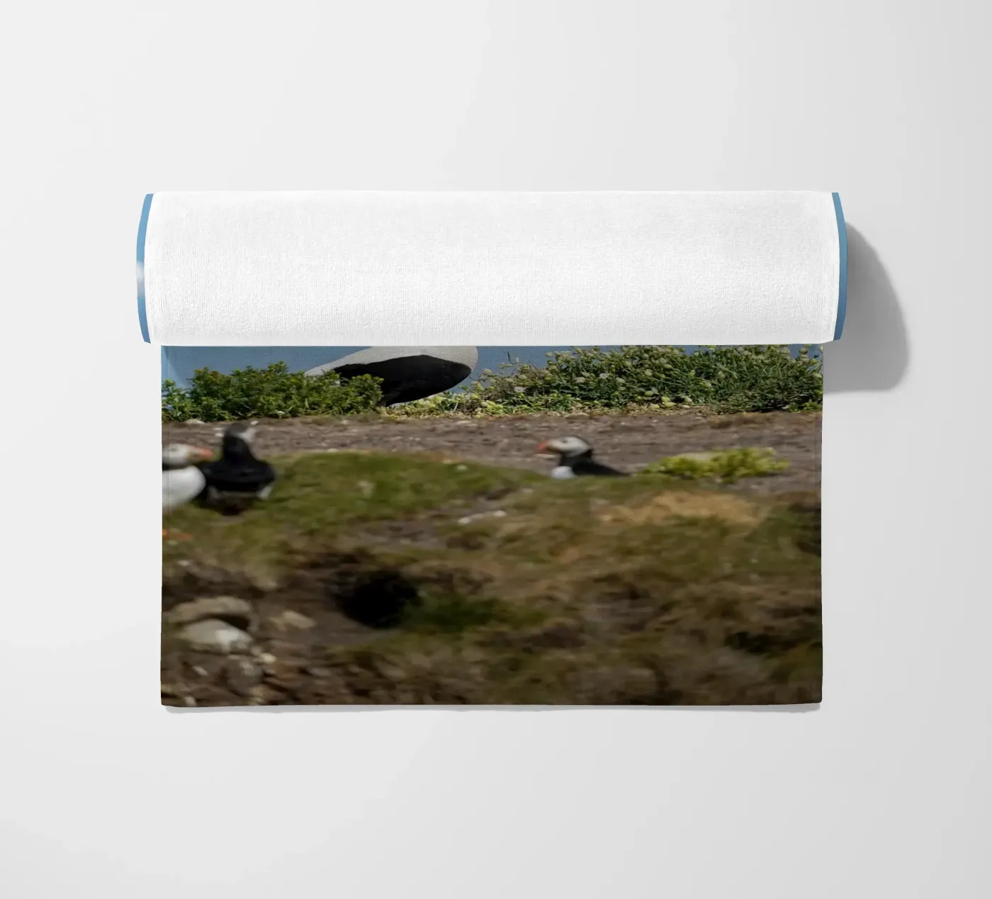 Eider strandhanddoek van Tom's Wildlife