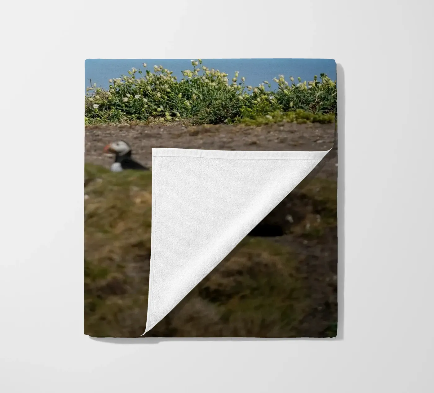 Eider strandhanddoek van Tom's Wildlife