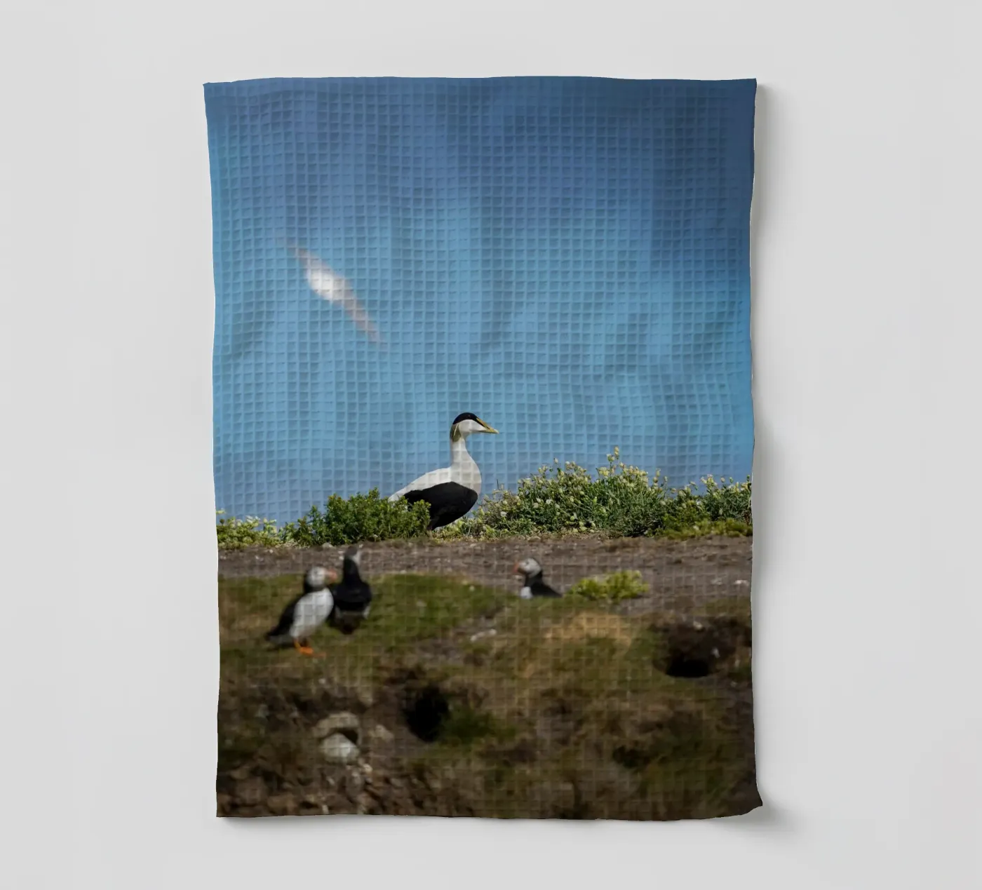 Common Eider Geschirrtuch von Tom's Wildlife