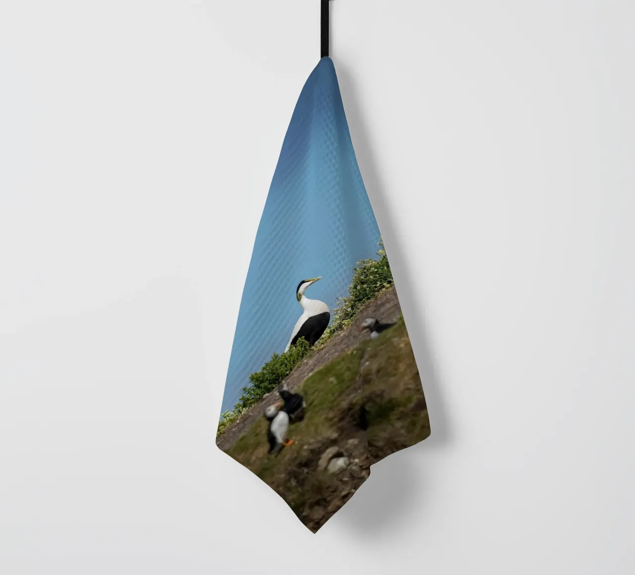 Common Eider tea towel by Tom's Wildlife