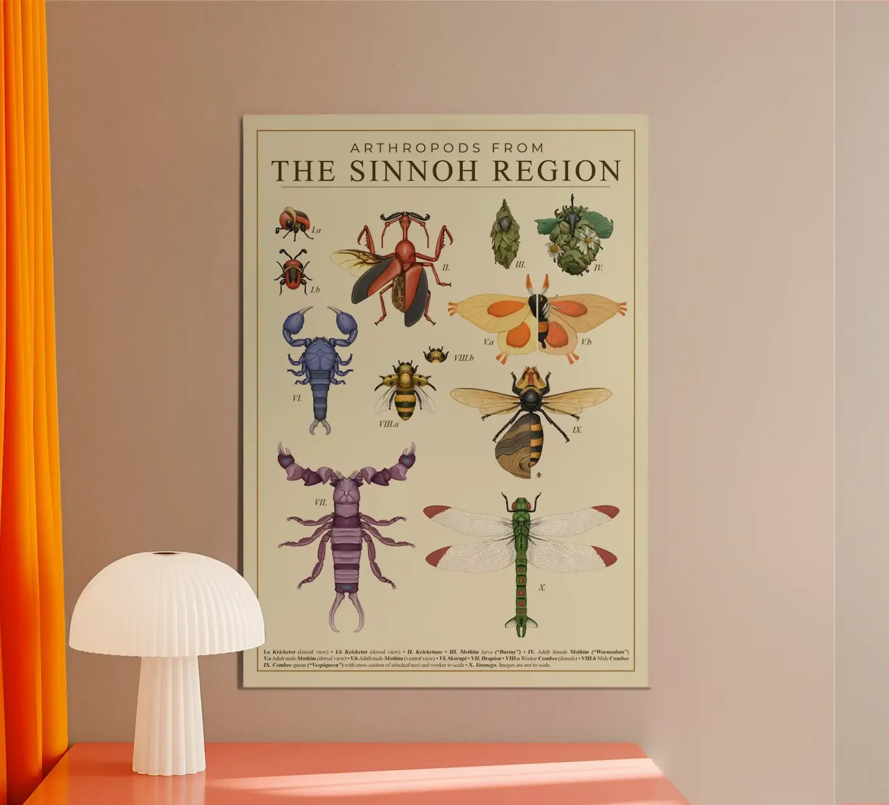 Artropodi della regione di Sinnoh poster da Katrin Ack