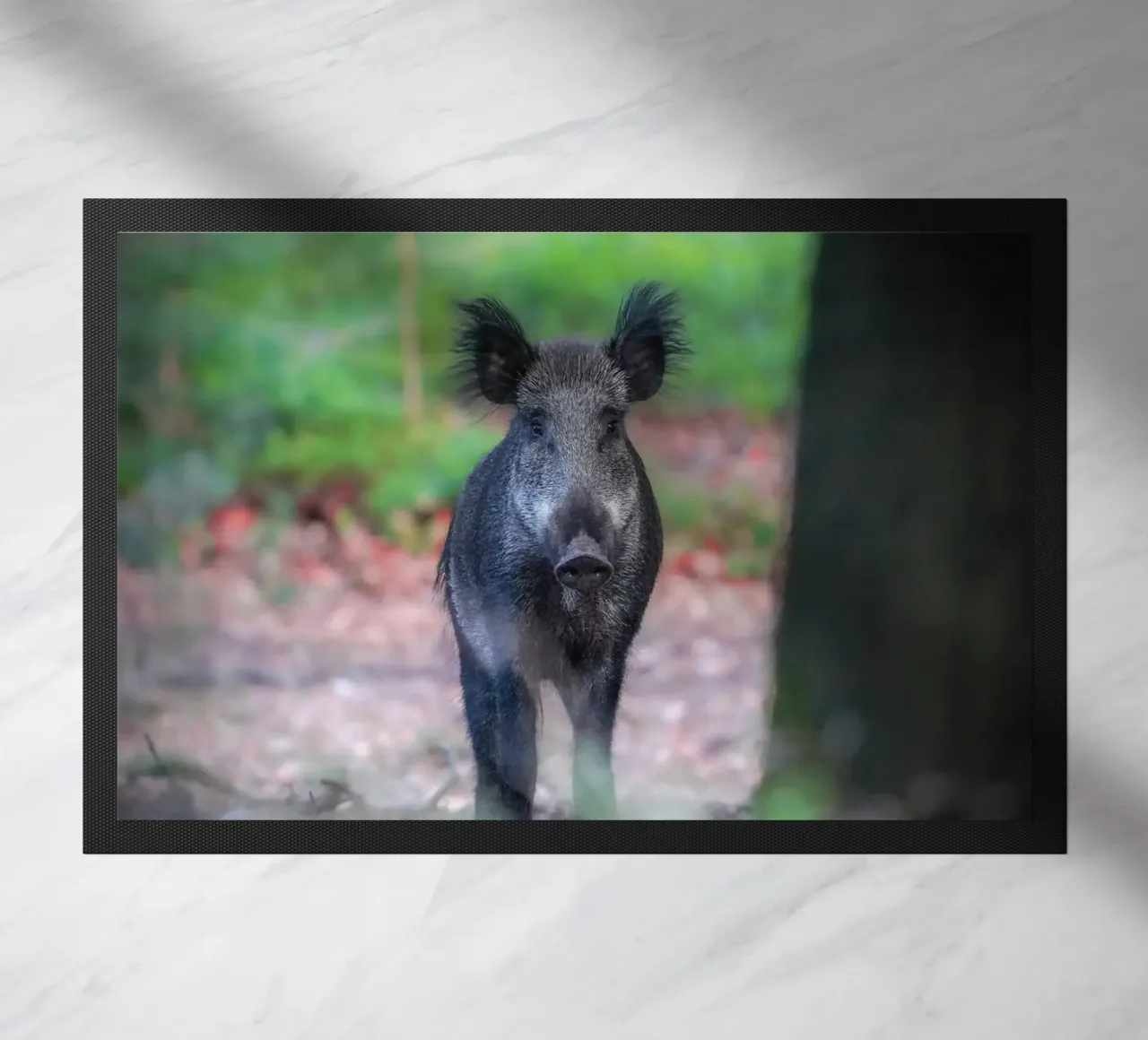 Cinghiale nella foresta zerbino da Tom's Wildlife