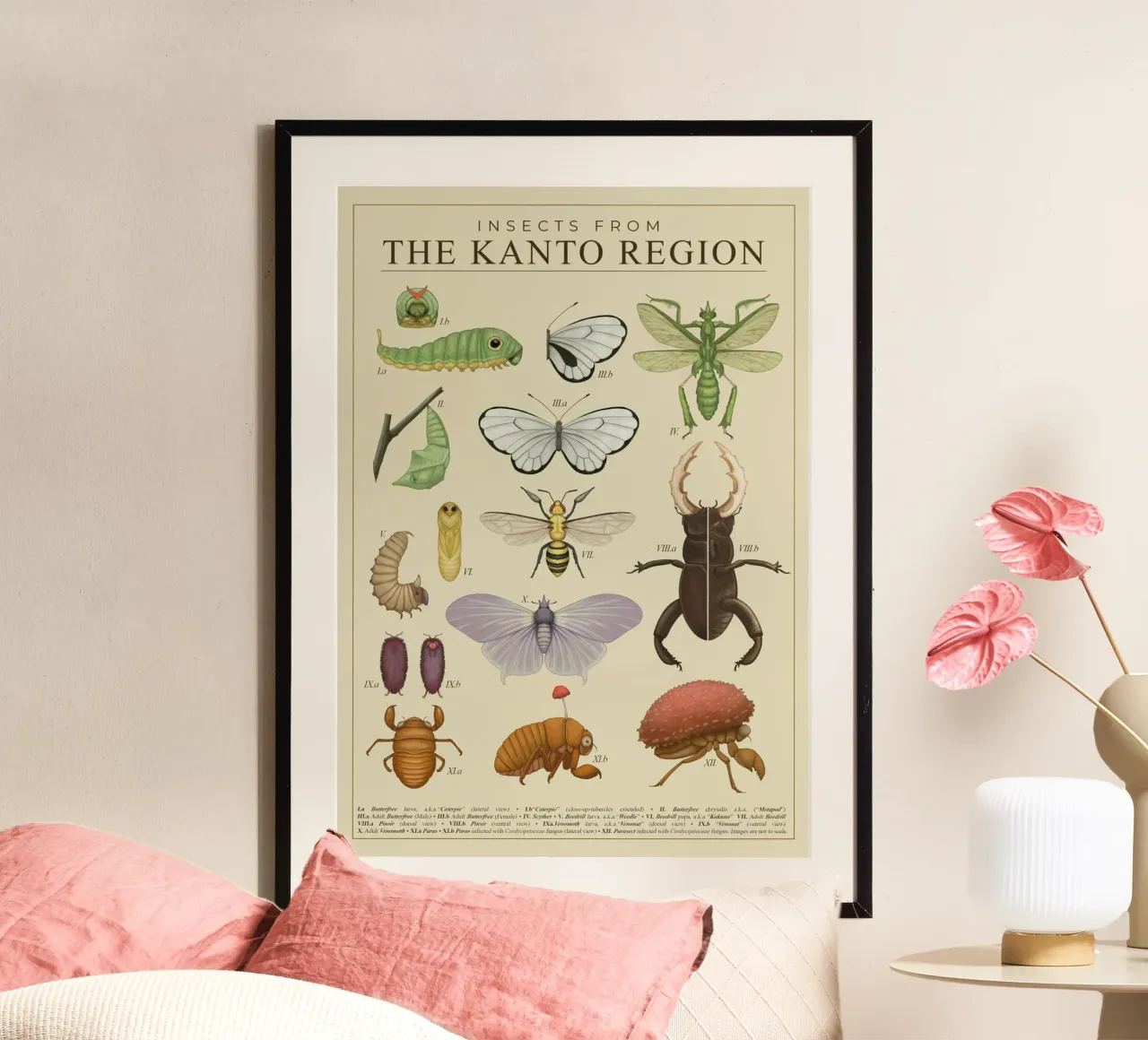 Insetti della regione del Kanto poster da Katrin Ack