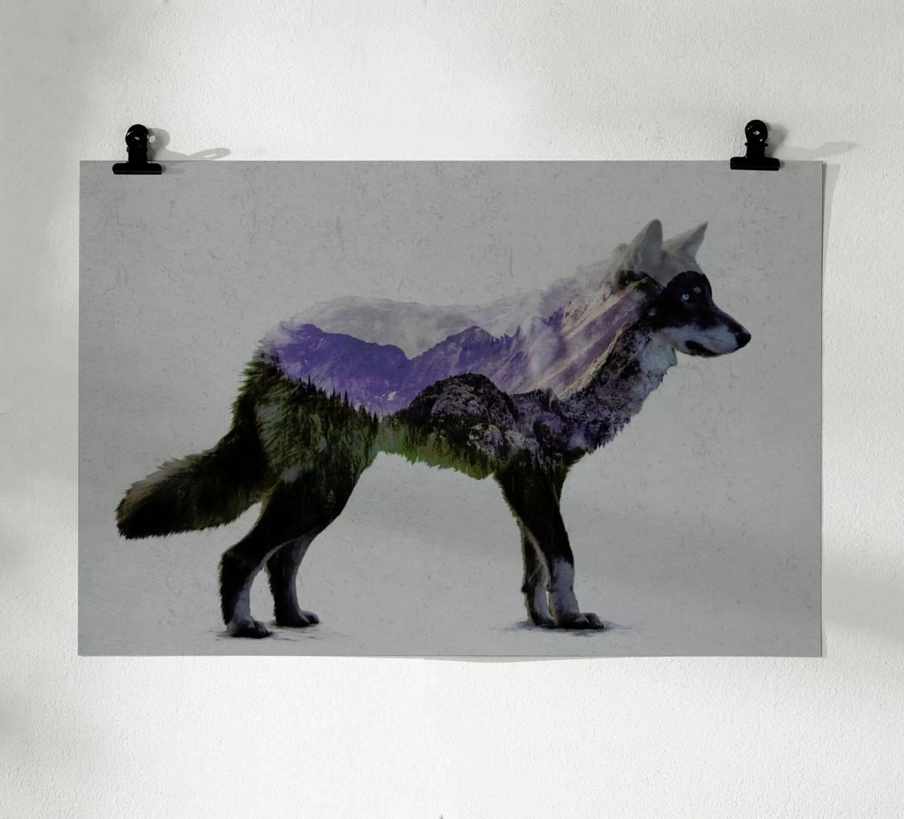 The Rocky Mountain Gray Wolf Poster von Davies Babies