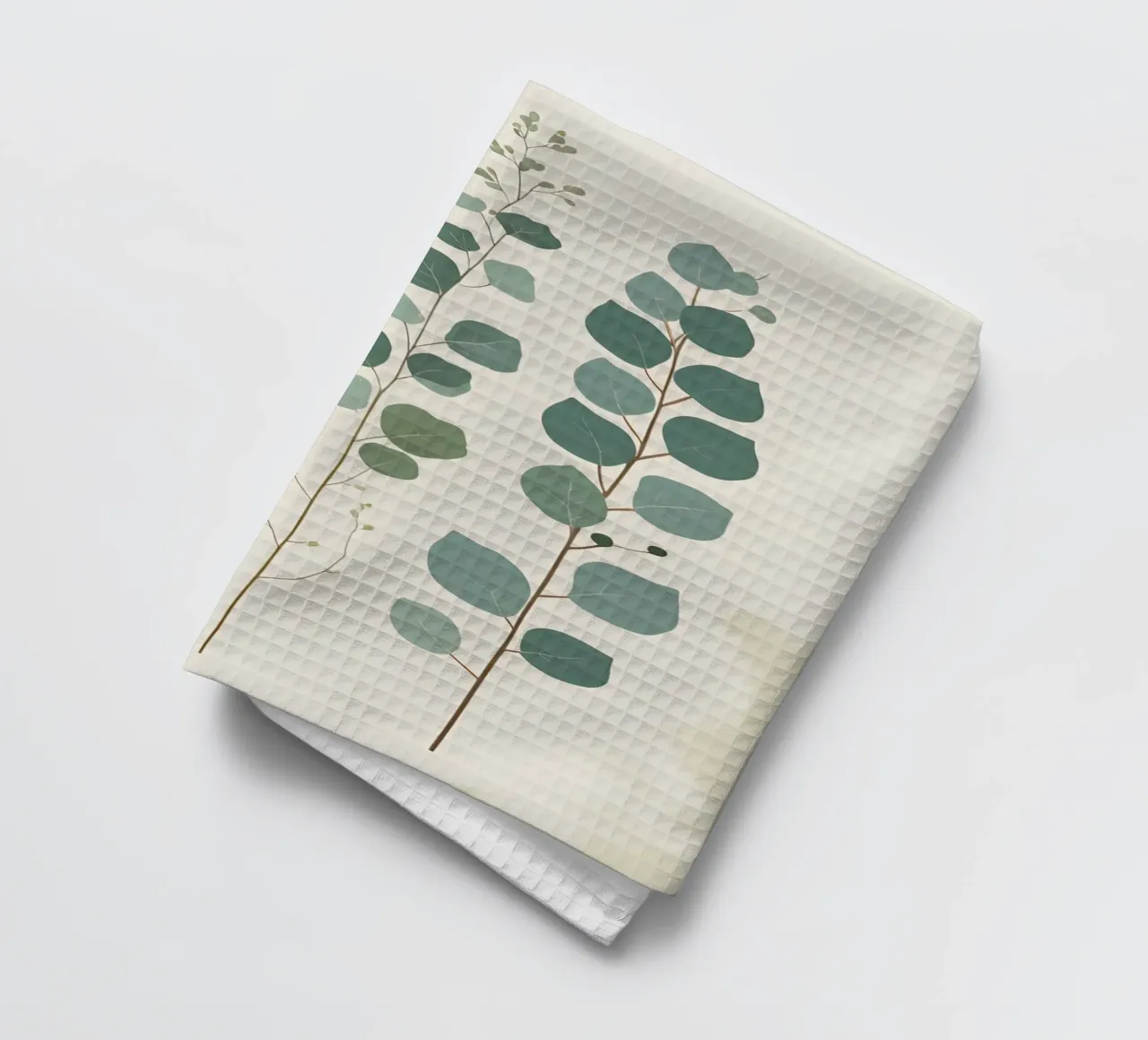 Eucalyptus - Multiple Stems torchon de Botanical Gallery