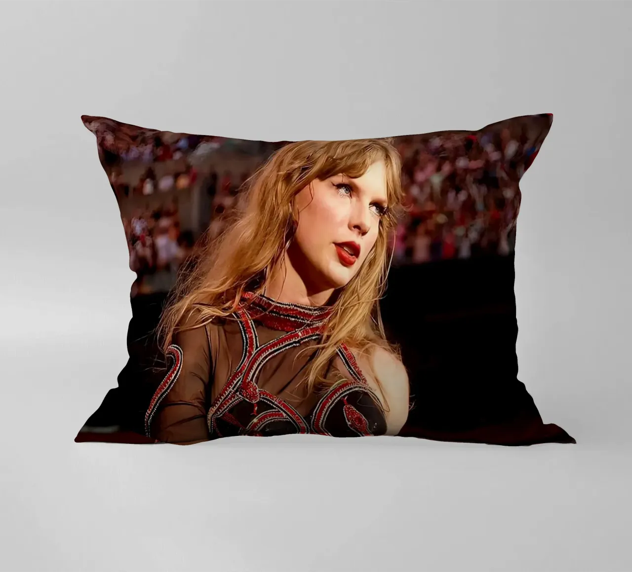 L'unica Taylor Swift cuscino da shiners