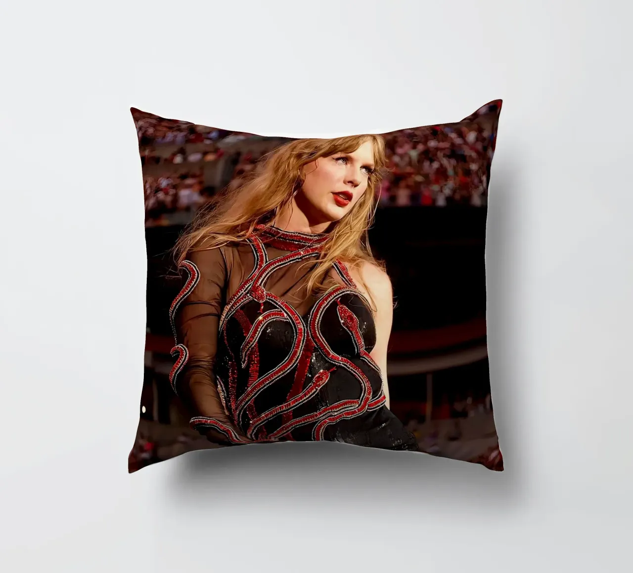 L'unica Taylor Swift cuscino da shiners