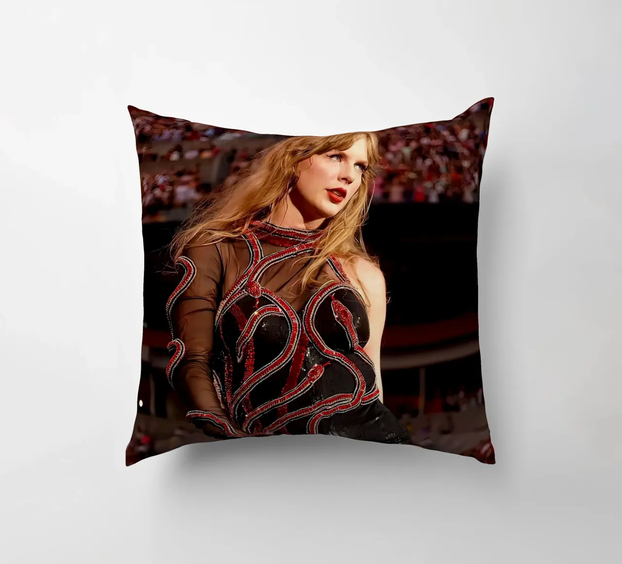 L'unica Taylor Swift cuscino da shiners