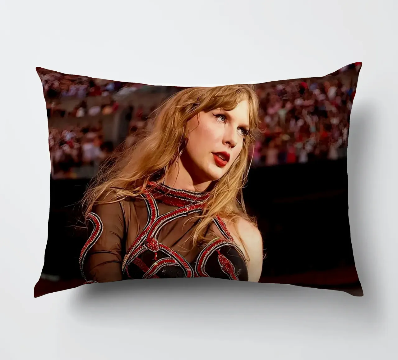L'unica Taylor Swift cuscino da shiners