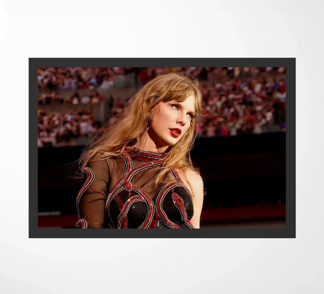 L'unica Taylor Swift zerbino da shiners