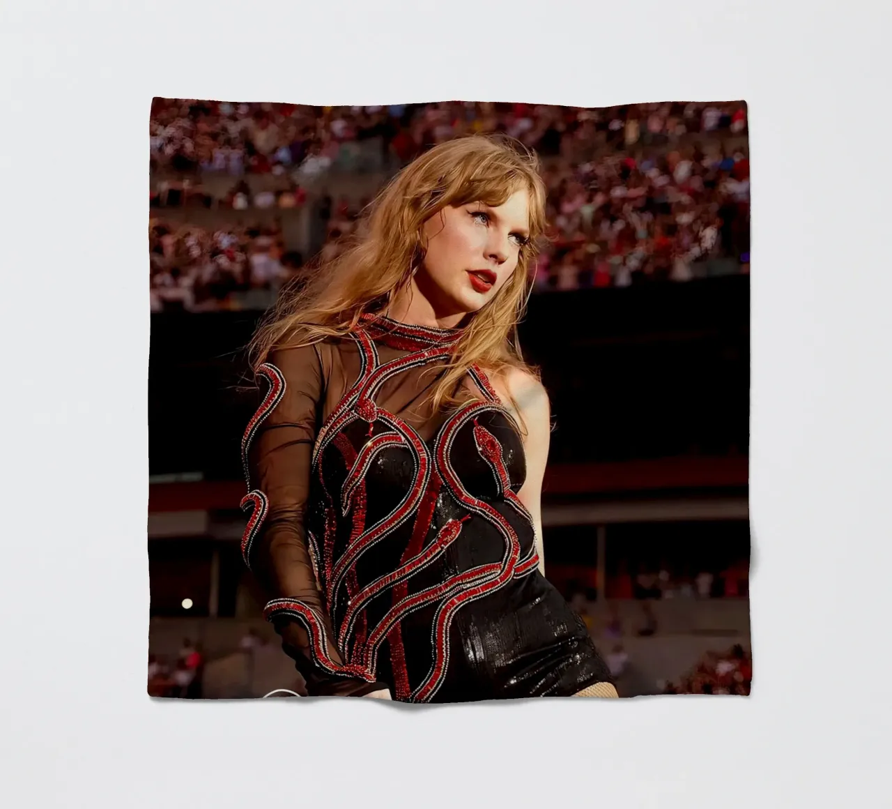 L'unica Taylor Swift coperta in pile da shiners