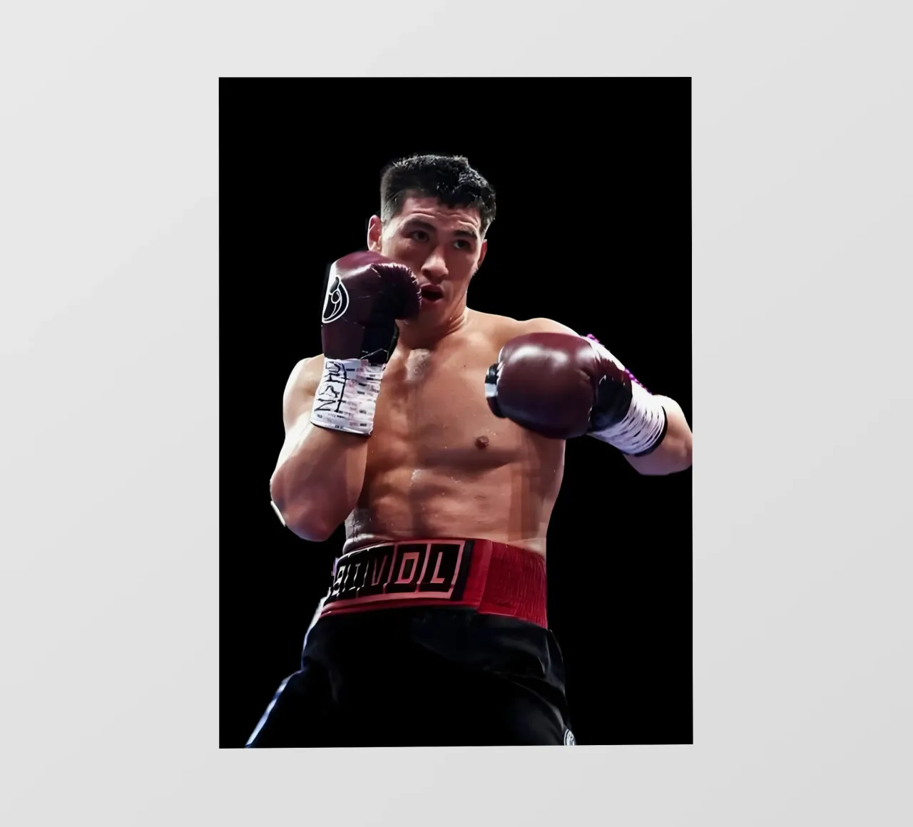 Dmitry Bivol telo in pvc da Low poly art