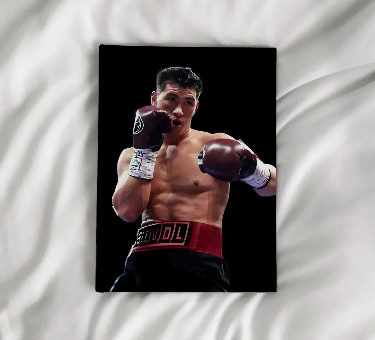 Dmitry Bivol notebook by Low poly art
