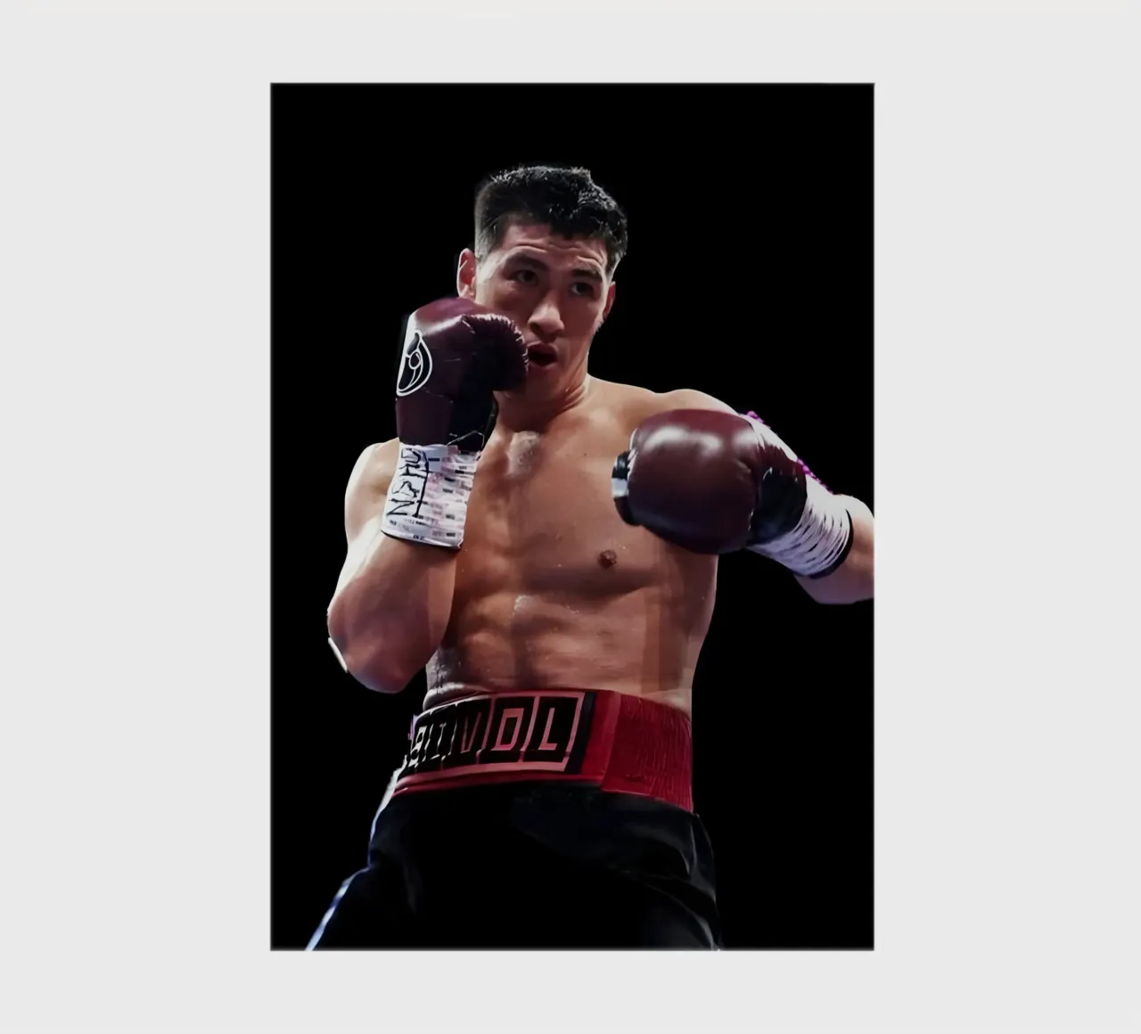 Dmitry Bivol notebook by Low poly art