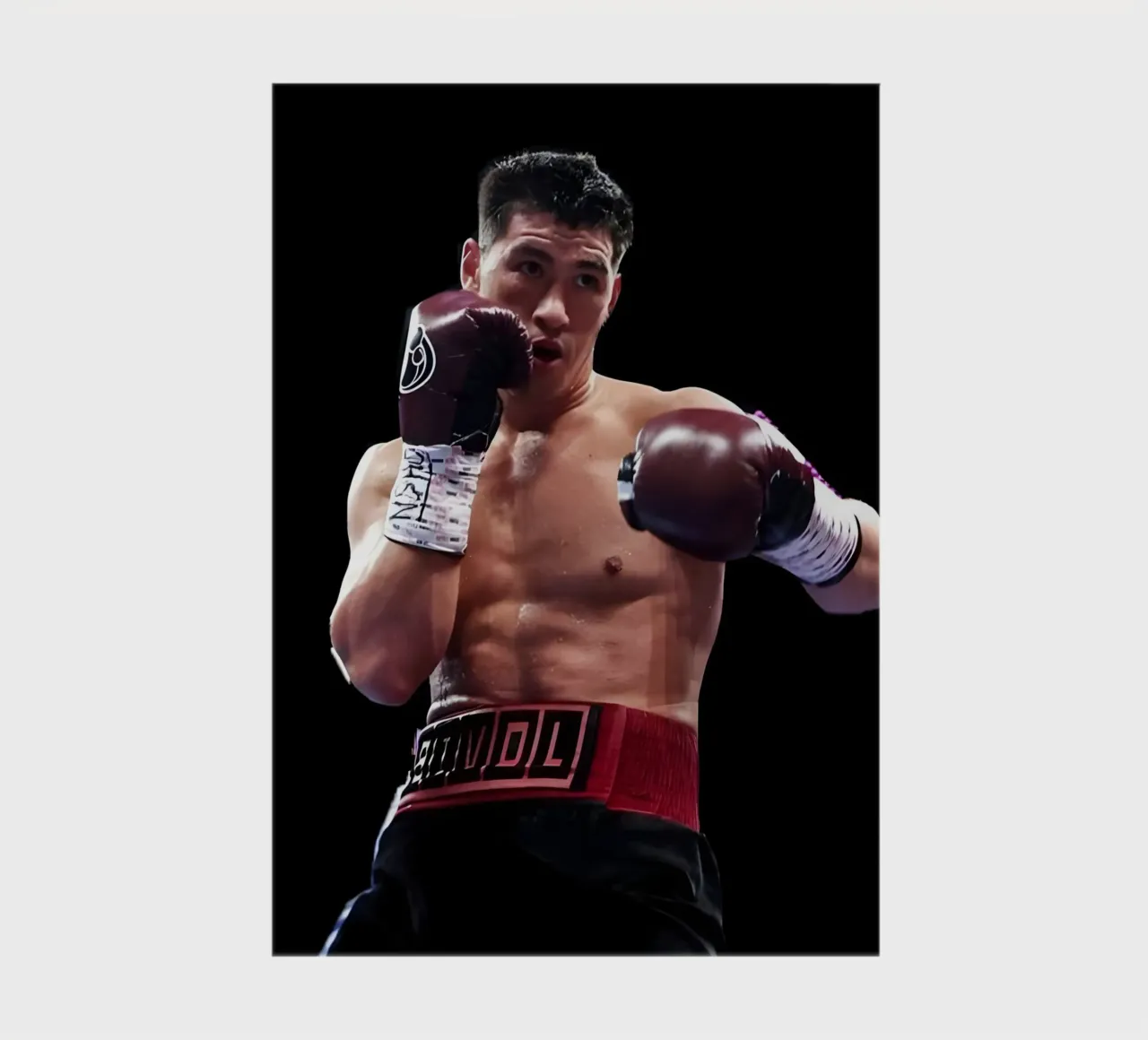 Dmitry Bivol notebook by Low poly art