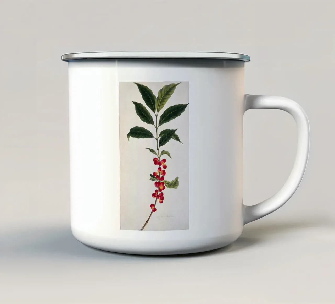 Coffee Branch: Botanical Illustration tazza in smalto da vintageshop