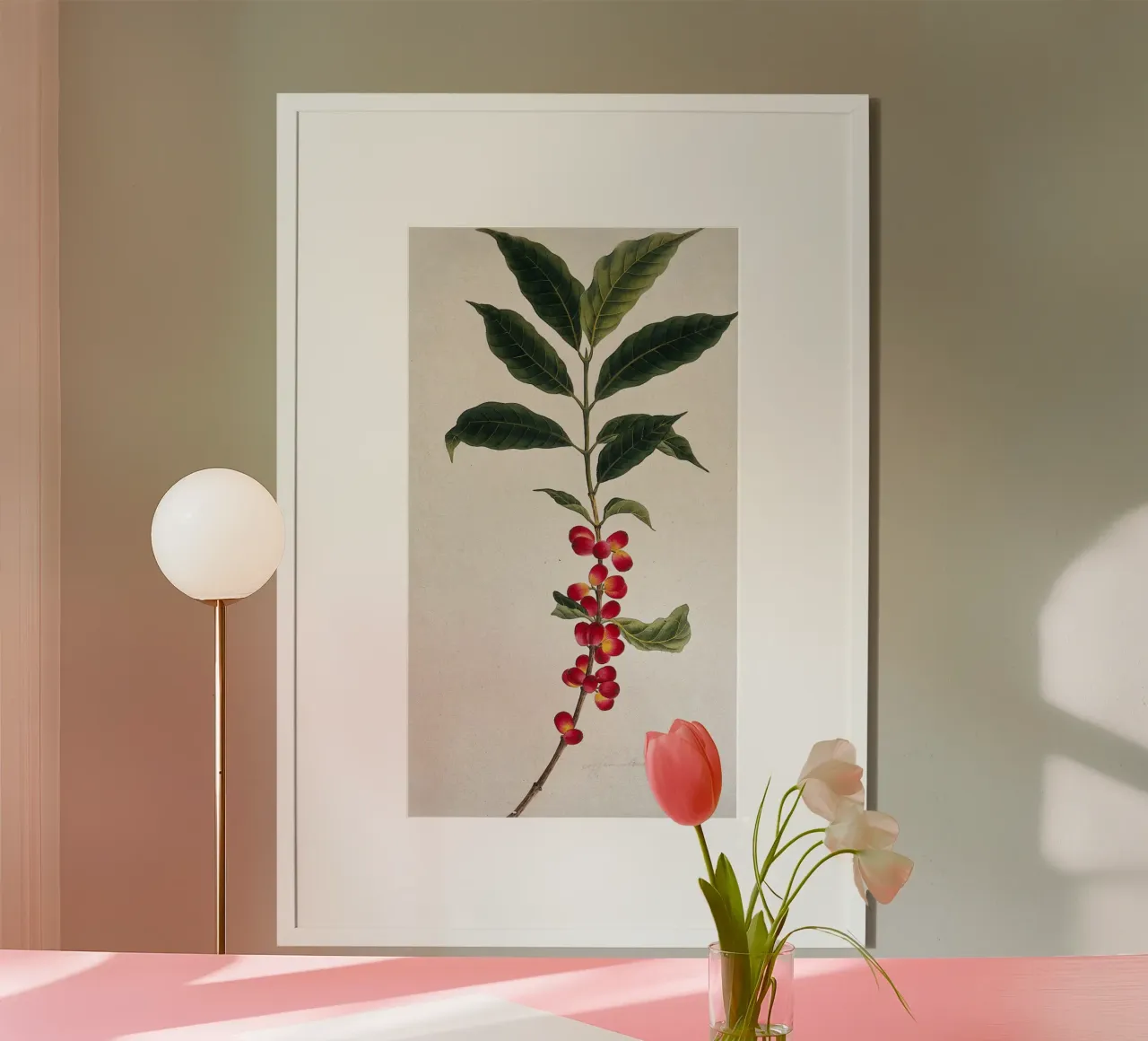 Coffee Branch: Botanical Illustration poster con telaio in alluminio da vintageshop