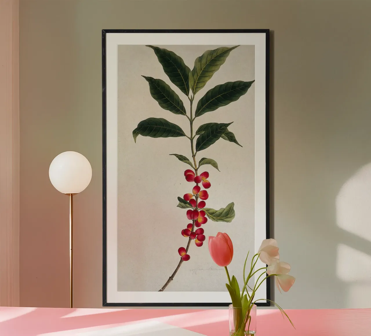 Coffee Branch: Botanical Illustration poster con telaio in alluminio da vintageshop