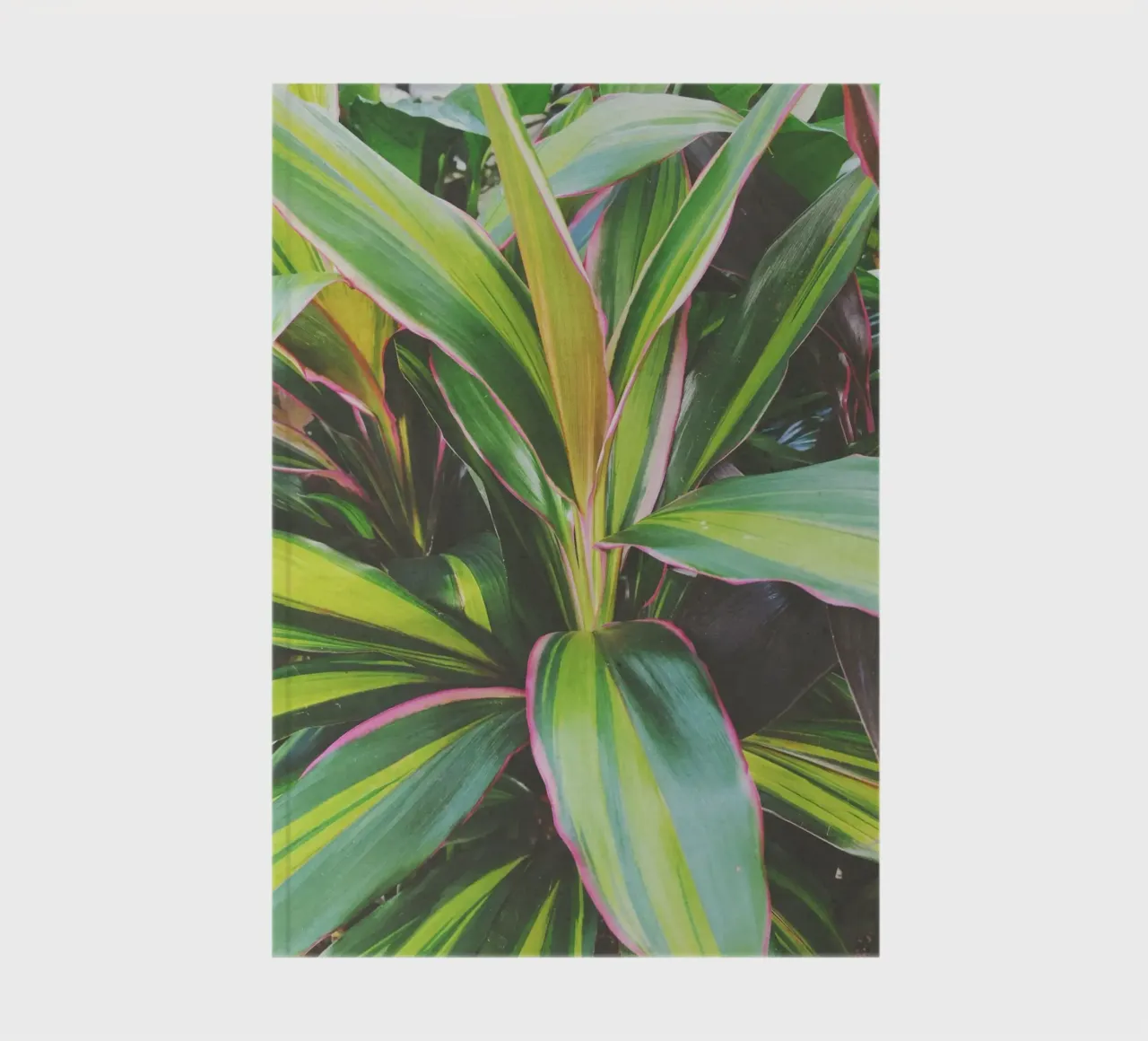 Foliage II notebook by Cassia Beck Photography